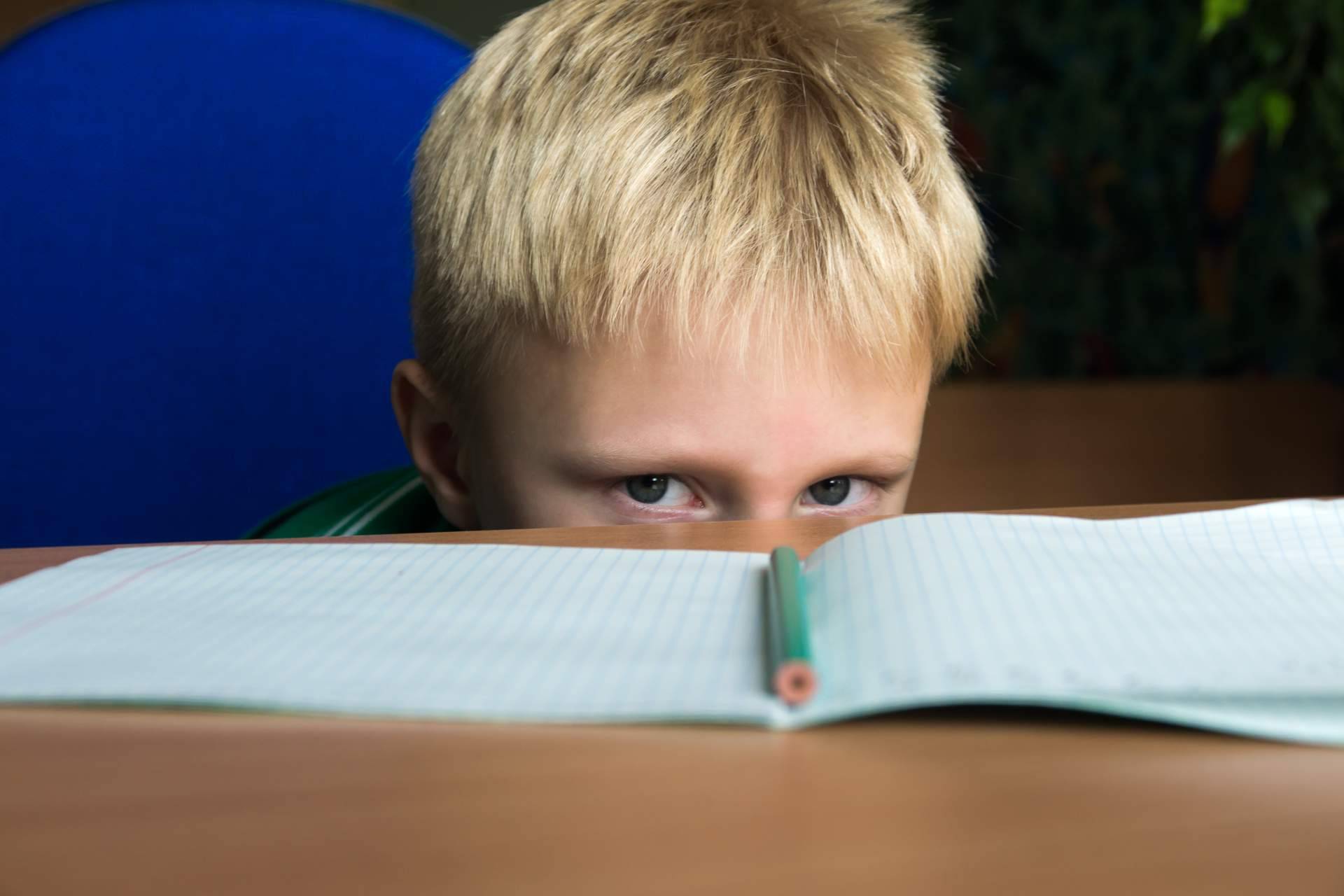 Área 44 Servicios Educativos: ¿Cuál es el objetivo de una evaluación psicopedagógica?