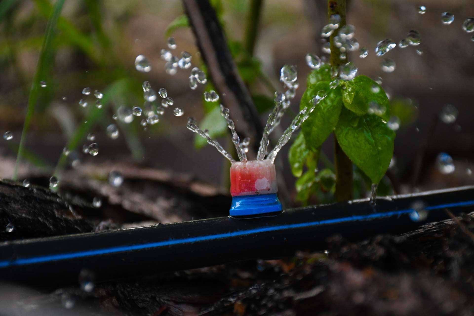 El equipo Ozonotec Dual O2O3 aporta nanoburbujas de oxígeno o de ozono para el agua de riego agrícola, la novedad de Ozonotec Eco
