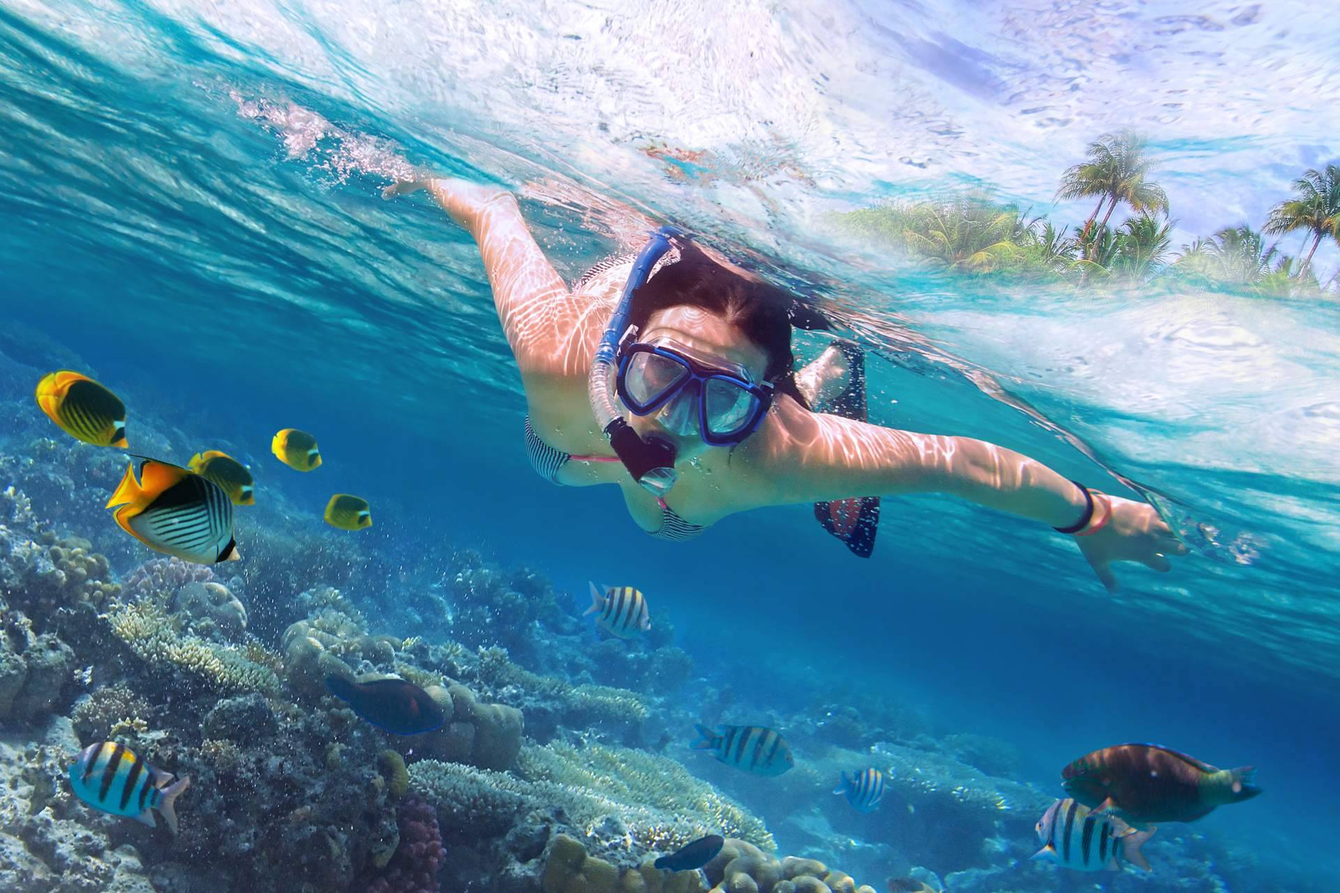 Felices Vacaciones ofrece múltiples propuestas para los españoles que buscan el sol en el Caribe durante la época de invierno