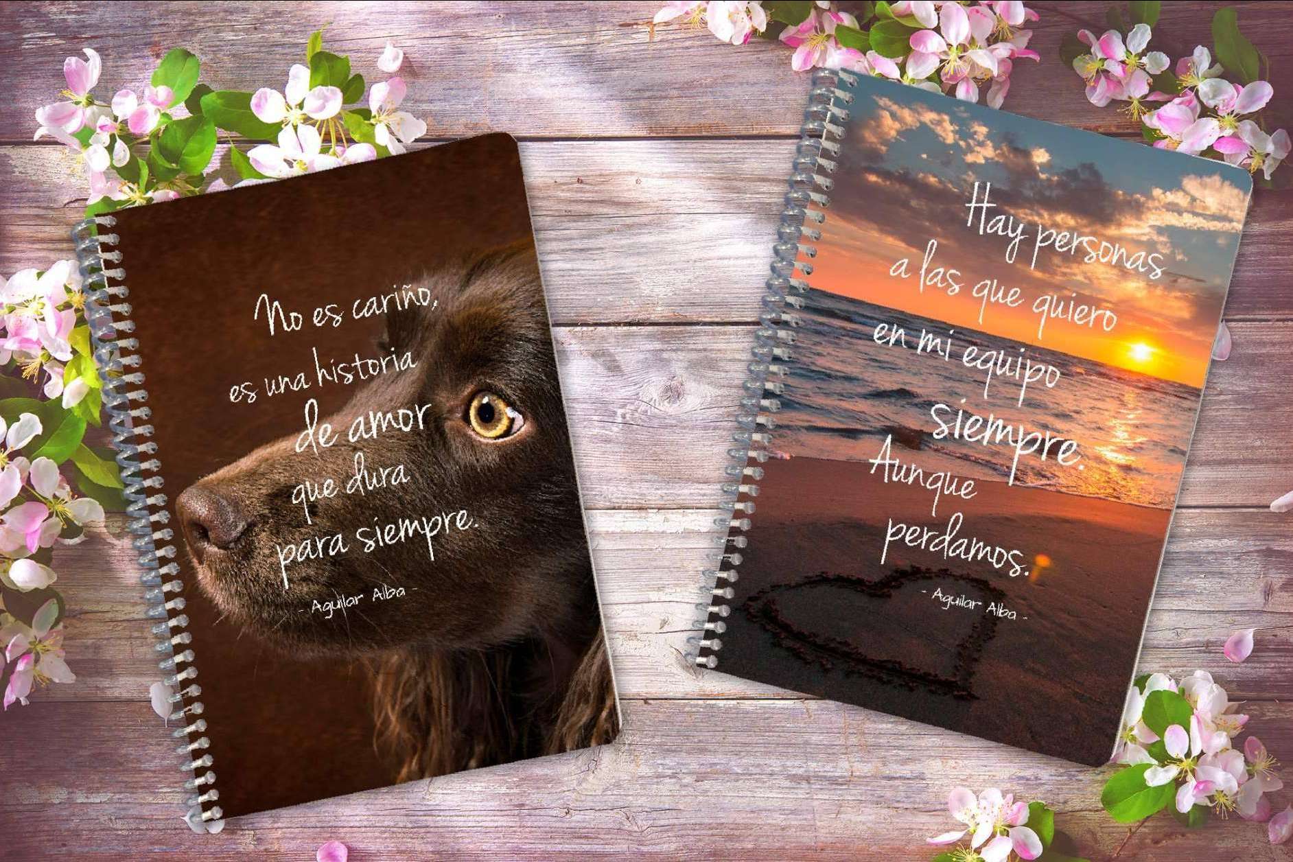 Estilo original en los regalos divertidos de Tres en un Burro, agendas 2022 y libretas únicas