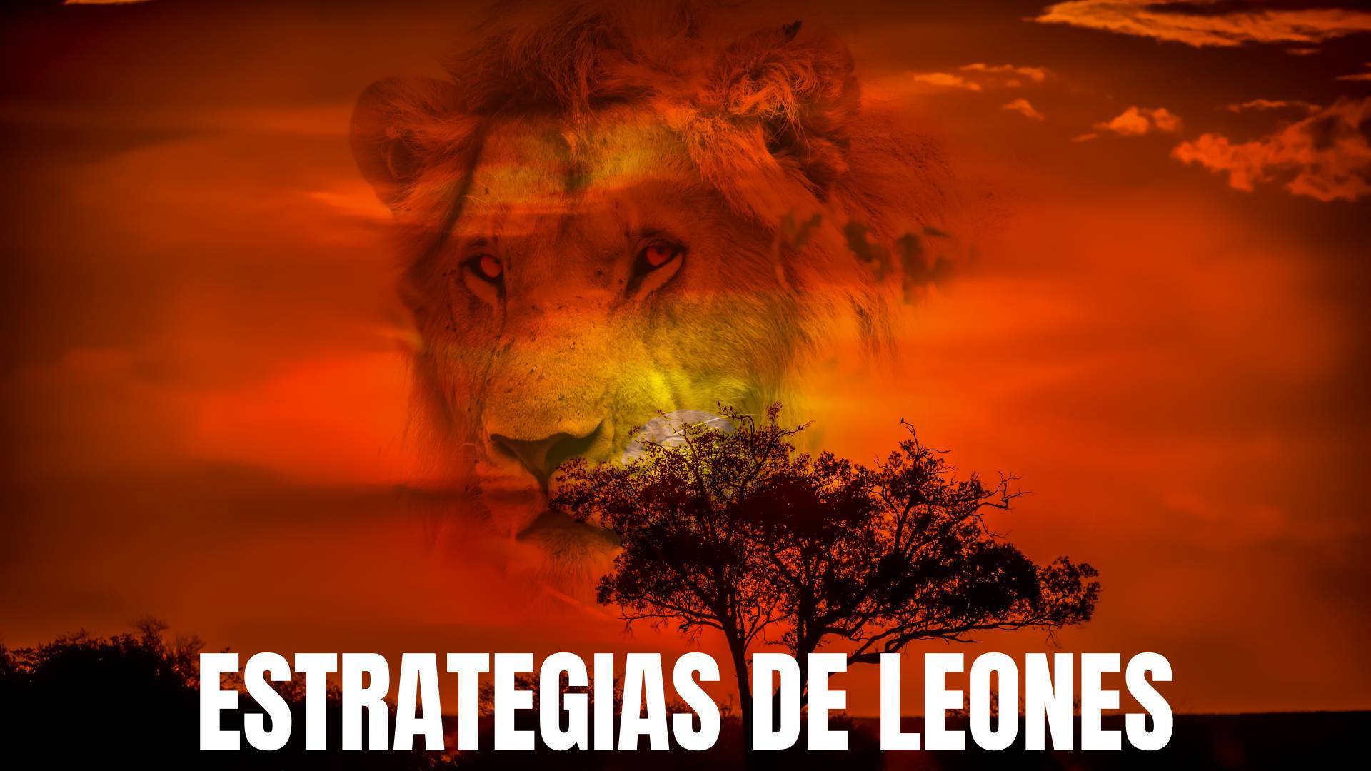 Estrategias de Leones y el funnel de Javier Ramos, el León de Ventas