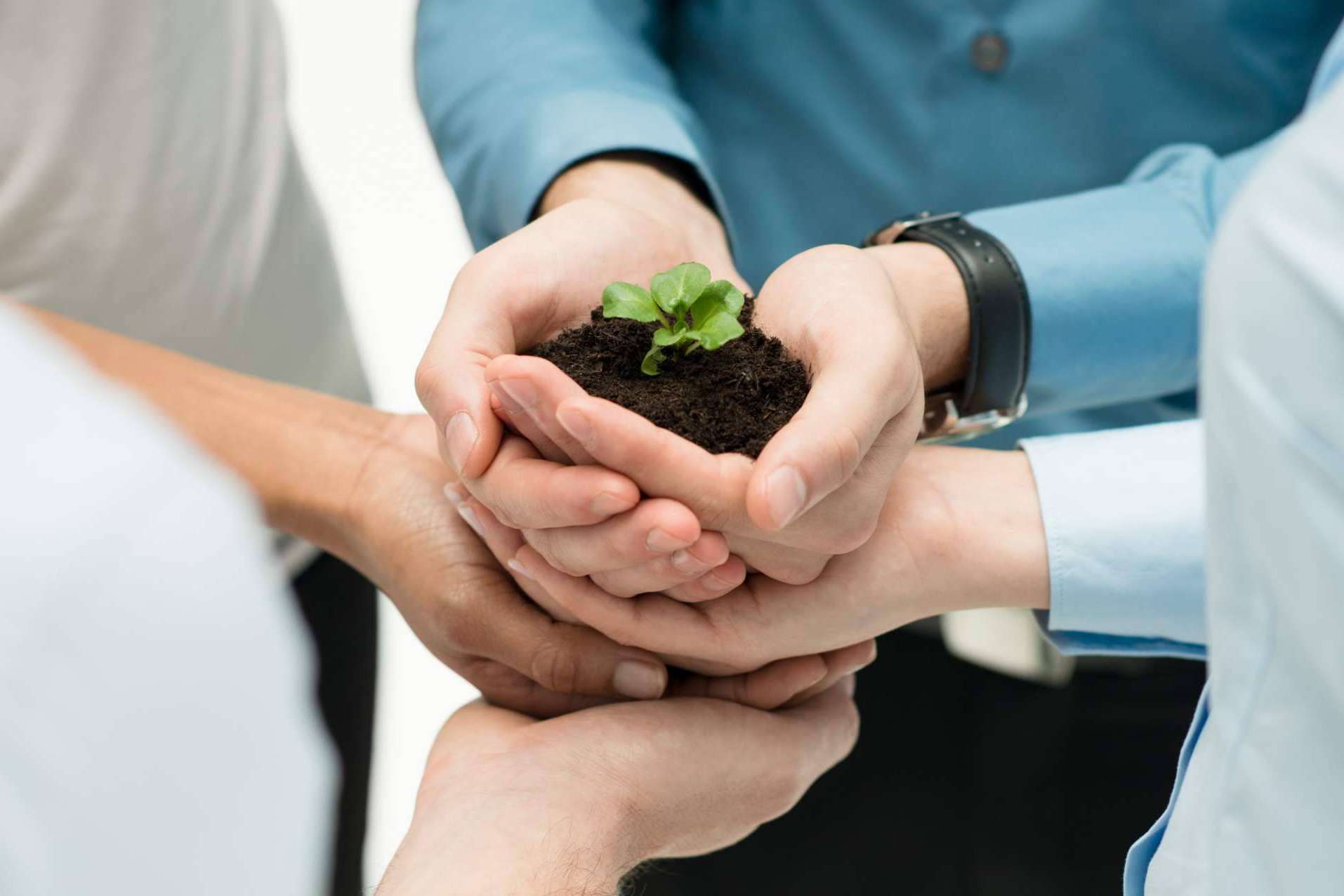 Ipostar y la responsabilidad ambiental empresarial