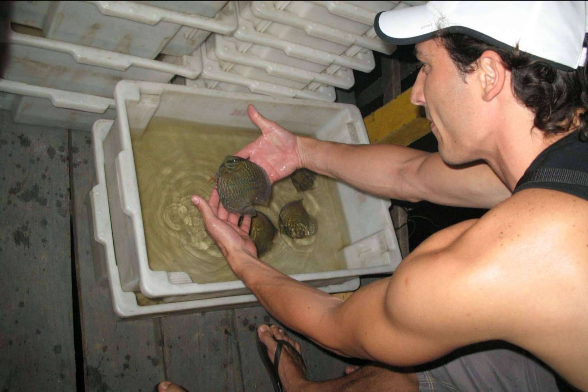Se inicia el proyecto de regeneración de peces ornamentales