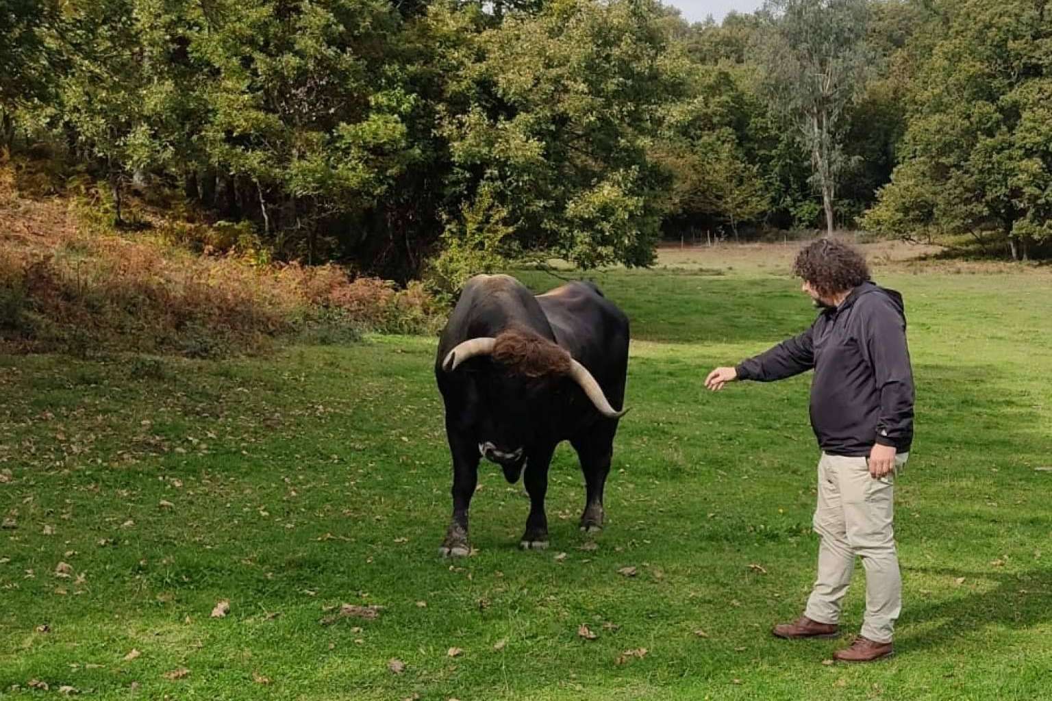 La recuperación de la historia del chuletón de Moaña, el objetivo de Taberna A de Lino