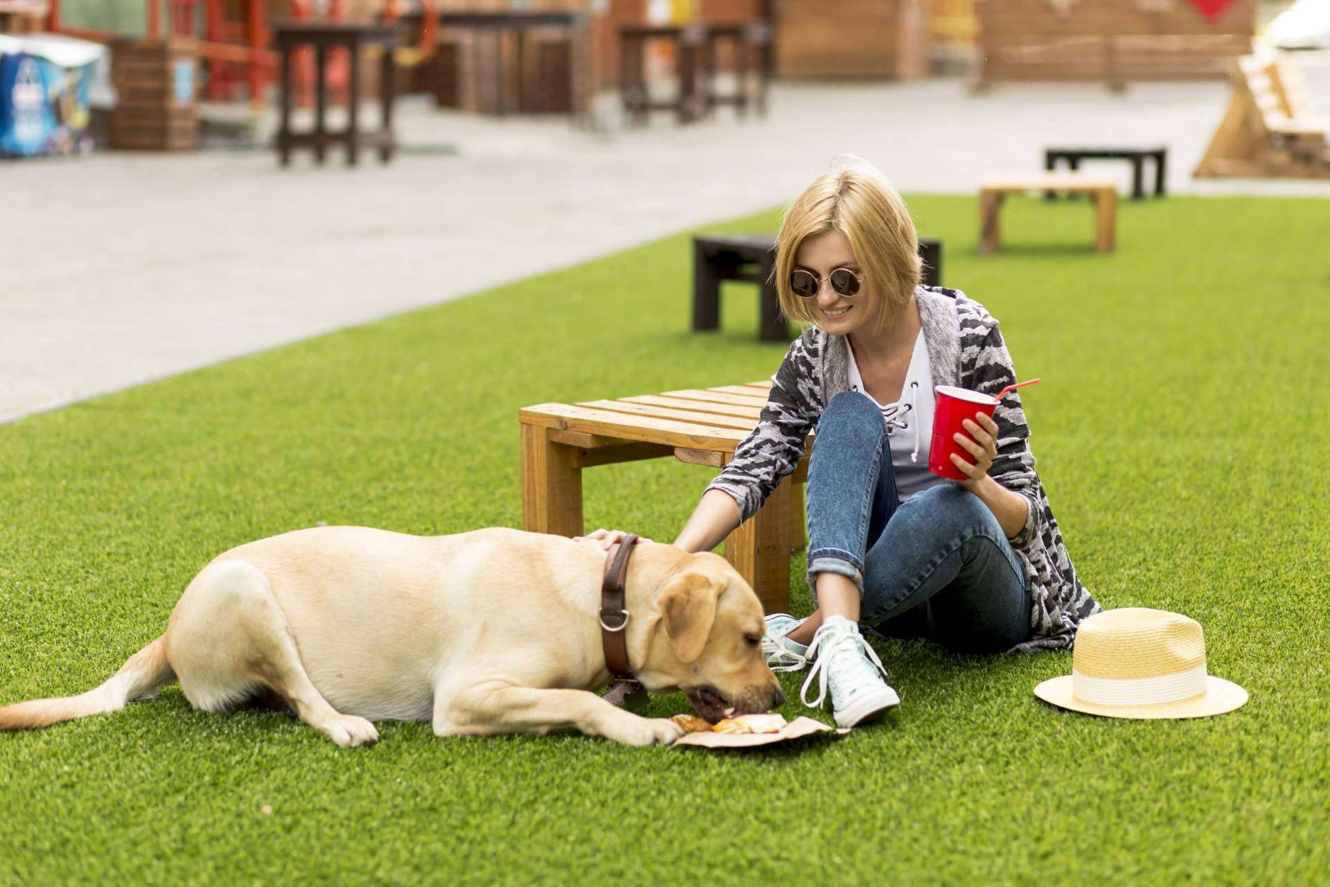 De Tapas con Mi Perro, la start-up que promueve la inclusión de las mascotas y sus familias en diferentes locales y actividades de ocio