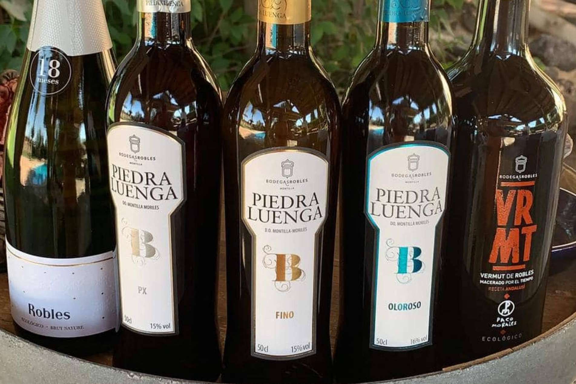 Las particularidades y el origen del vino ecológico de Bodegas Robles