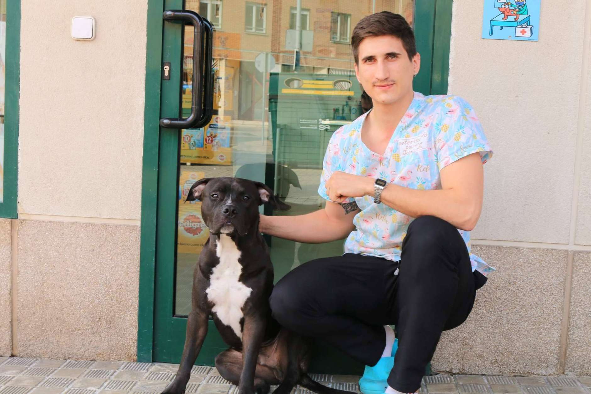 ¿Por qué elegir una buena clínica veterinaria es fundamental para el bienestar de la mascota?, por Centro Veterinario Zalavet