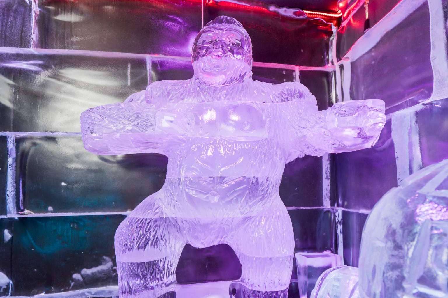 Experiencias únicas y divertidas para toda la familia de la mano de Ice Bar Barcelona