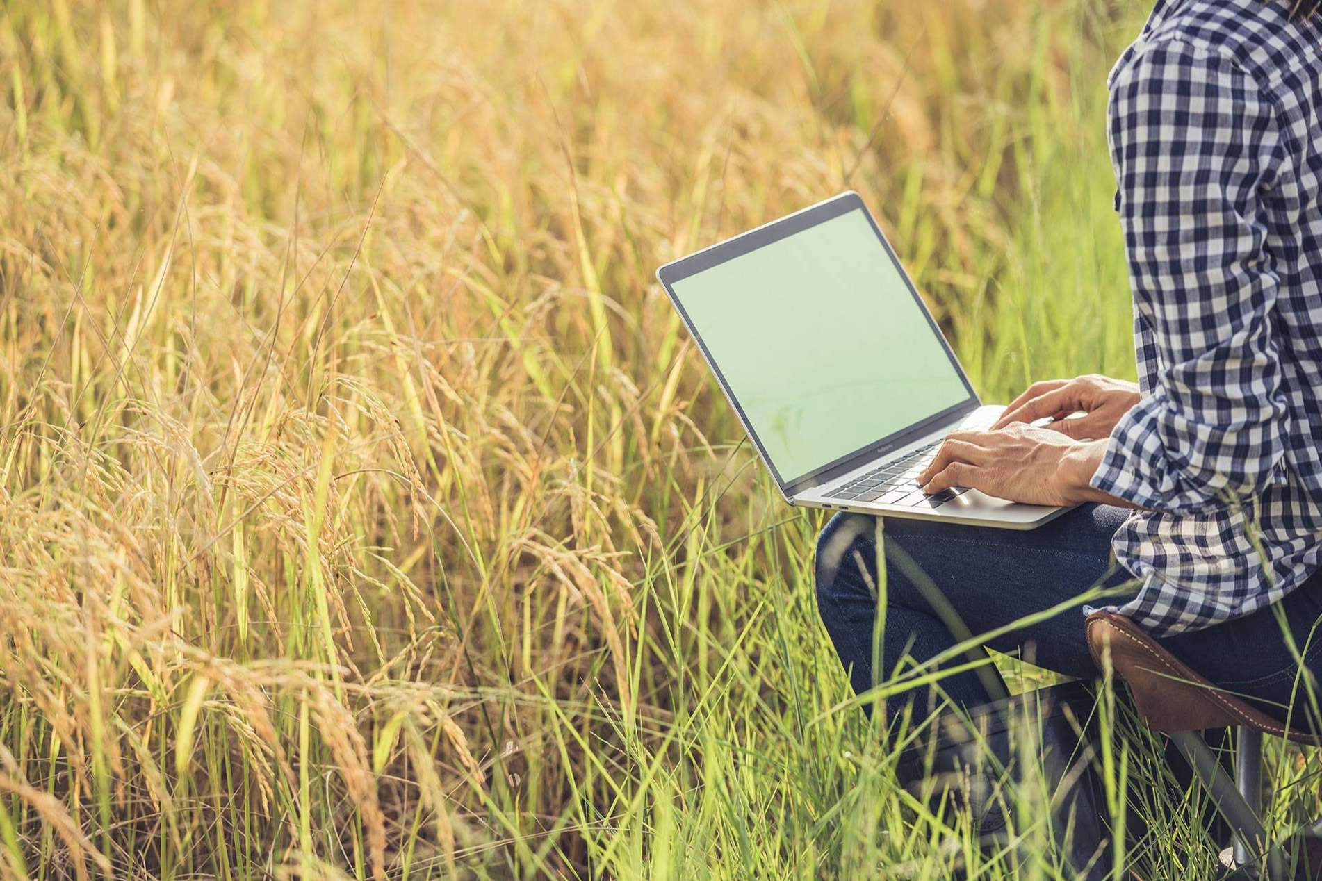 Un ERP Agropecuario para potenciar el sector agrícola, con Certitec