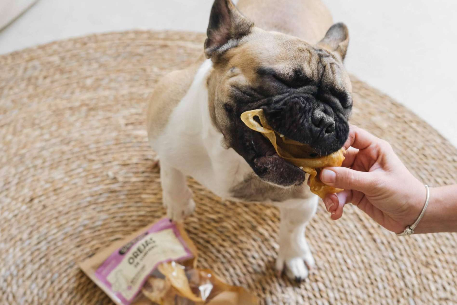 La startup española Wild Balance acaba de aterrizar en Dubái con su apuesta por la alimentación natural para mascotas