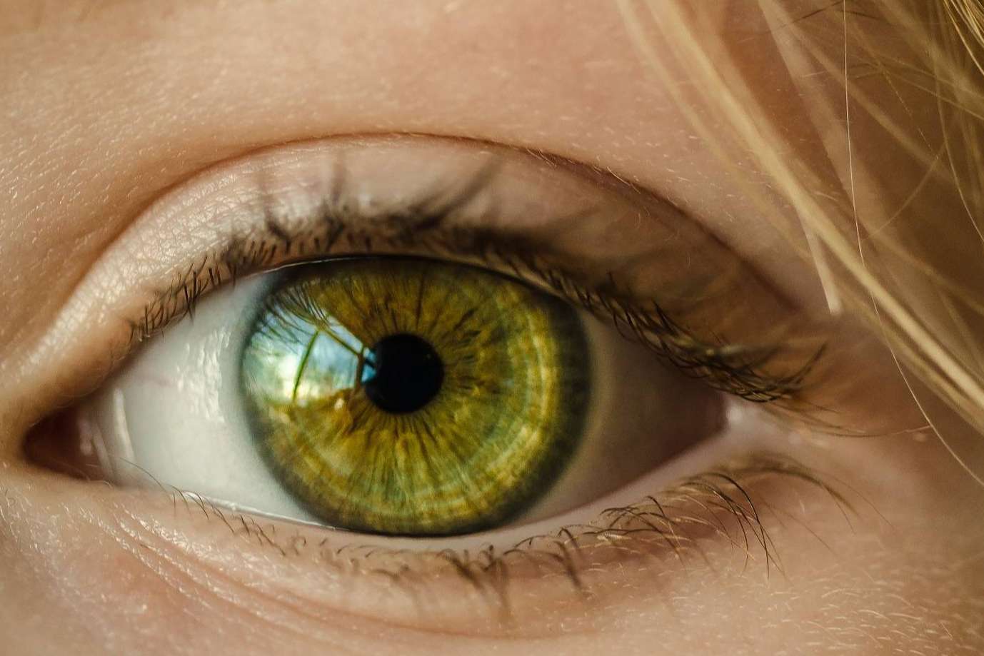 El laboratorio Tequial contribuye al envejecimiento saludable con sus suplementos como el AZAFRÁN PREMIUM + Melatonina