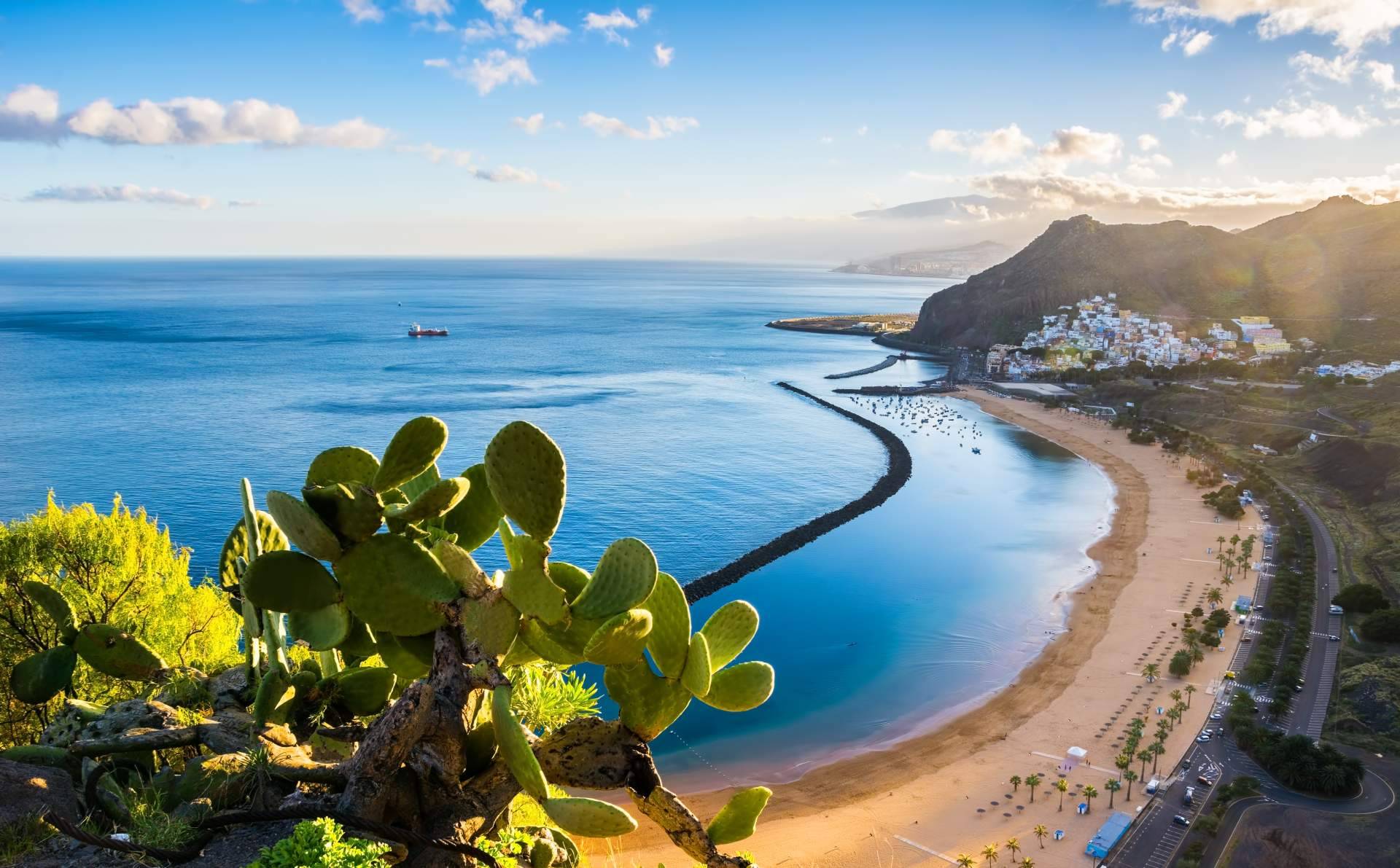 Alquilar un coche de la mano de Canarias.com y conocer los guachinches o el carnaval de Tenerife