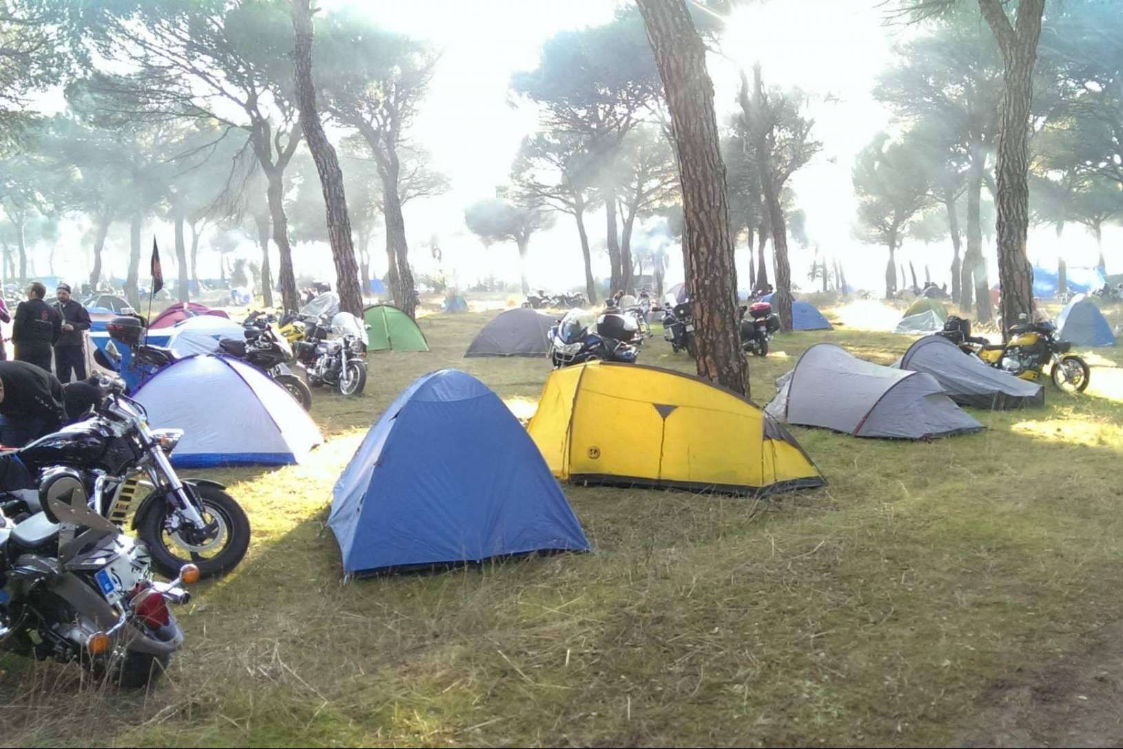 Pingüinos 2023 y RapidMotos