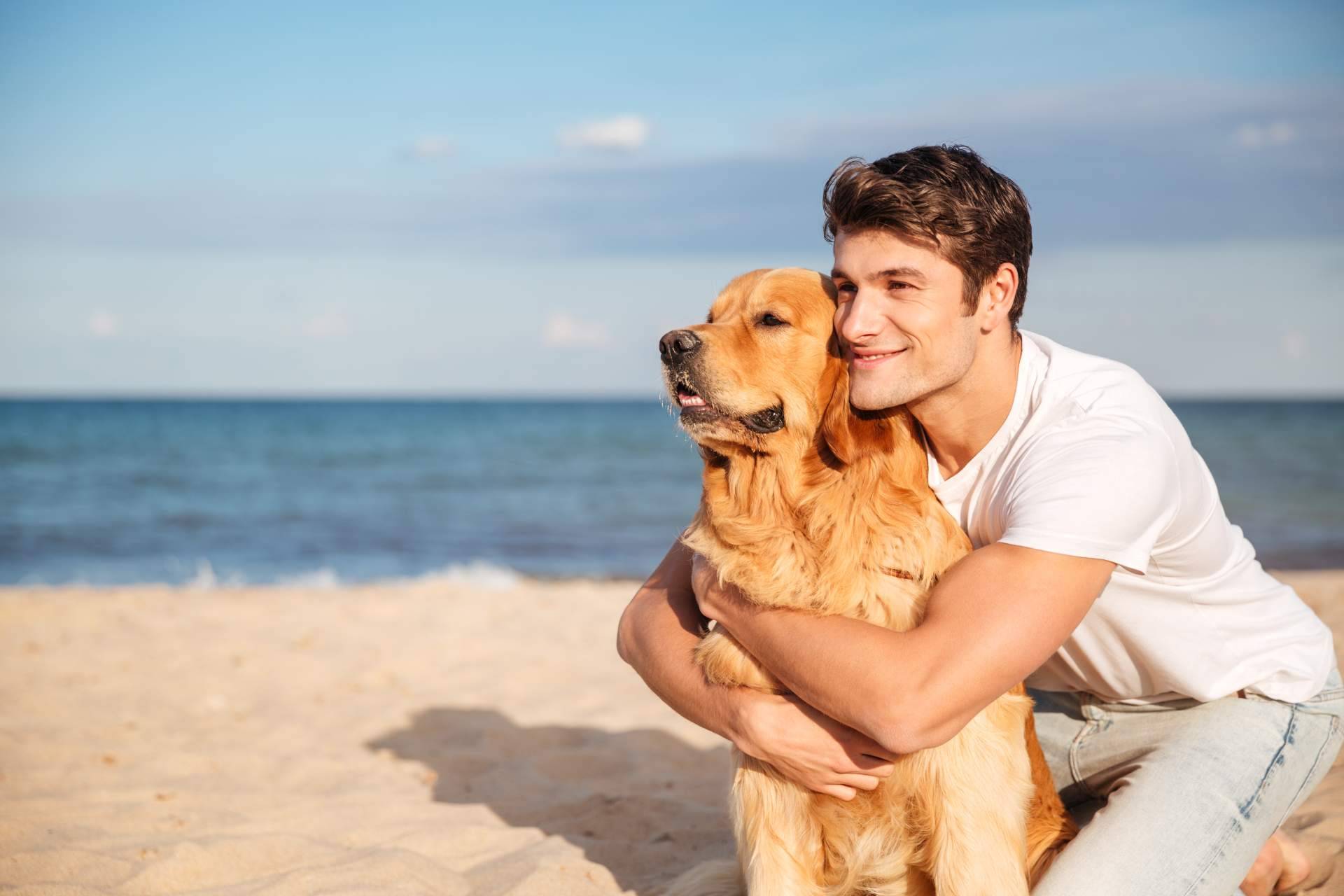 Piensos para perros con Wolves Legacy, la legendaria fórmula que los perros devoran
