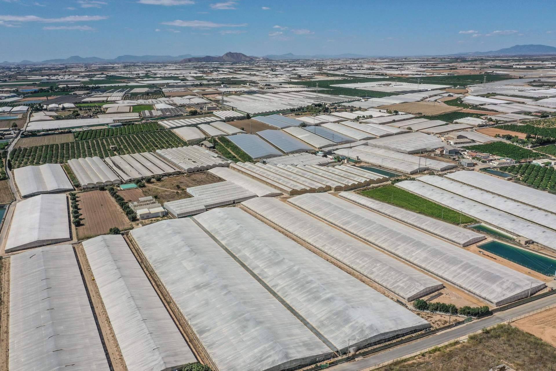 ¿Por qué se producen conflictos por la falta de agua?