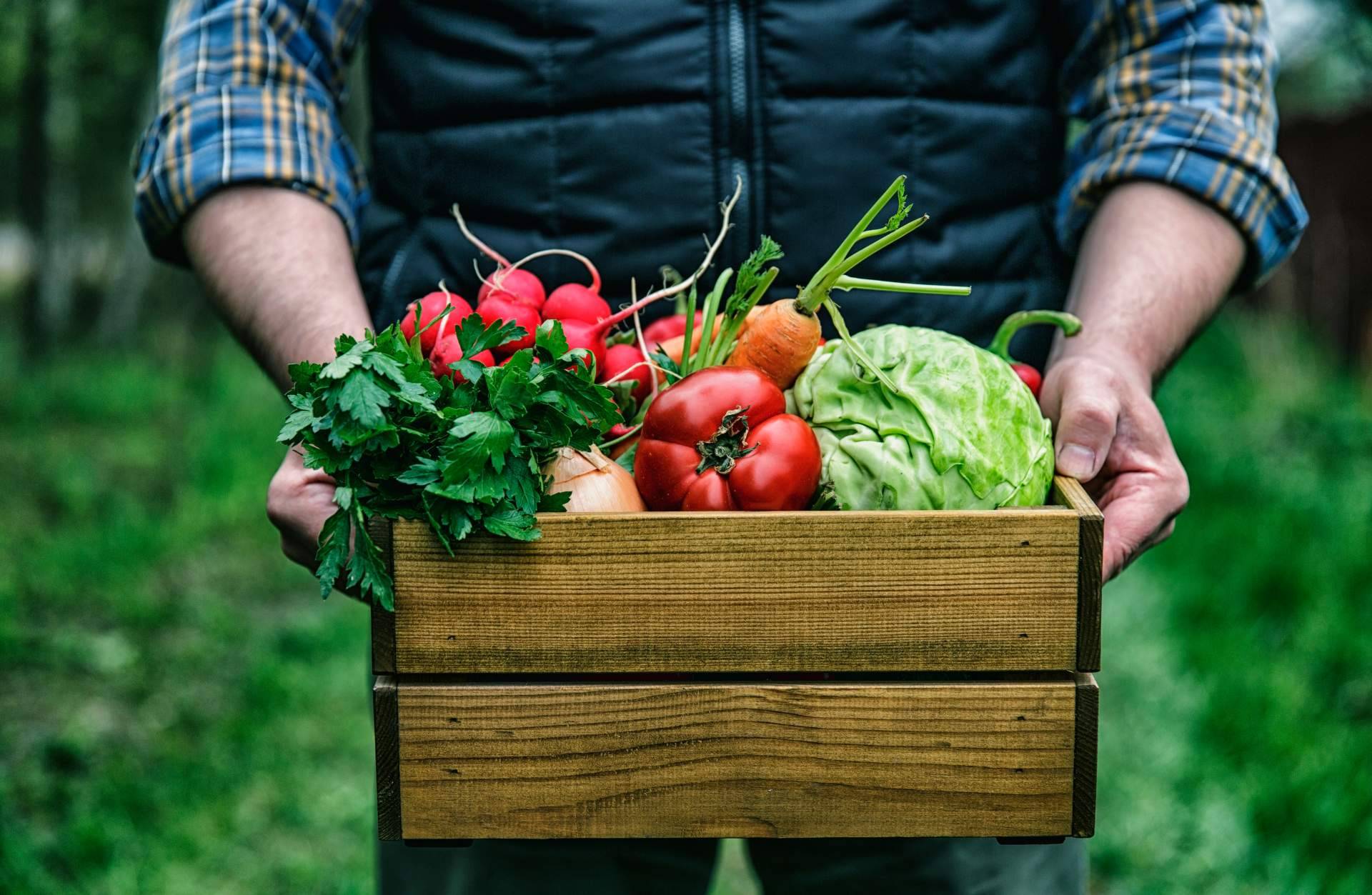 Crece la necesidad de apostar por la alimentación ecológica