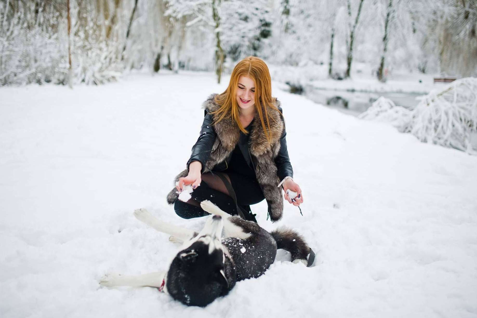Cuáles son los cuidados necesarios de los perros de cara al invierno, por LovePets
