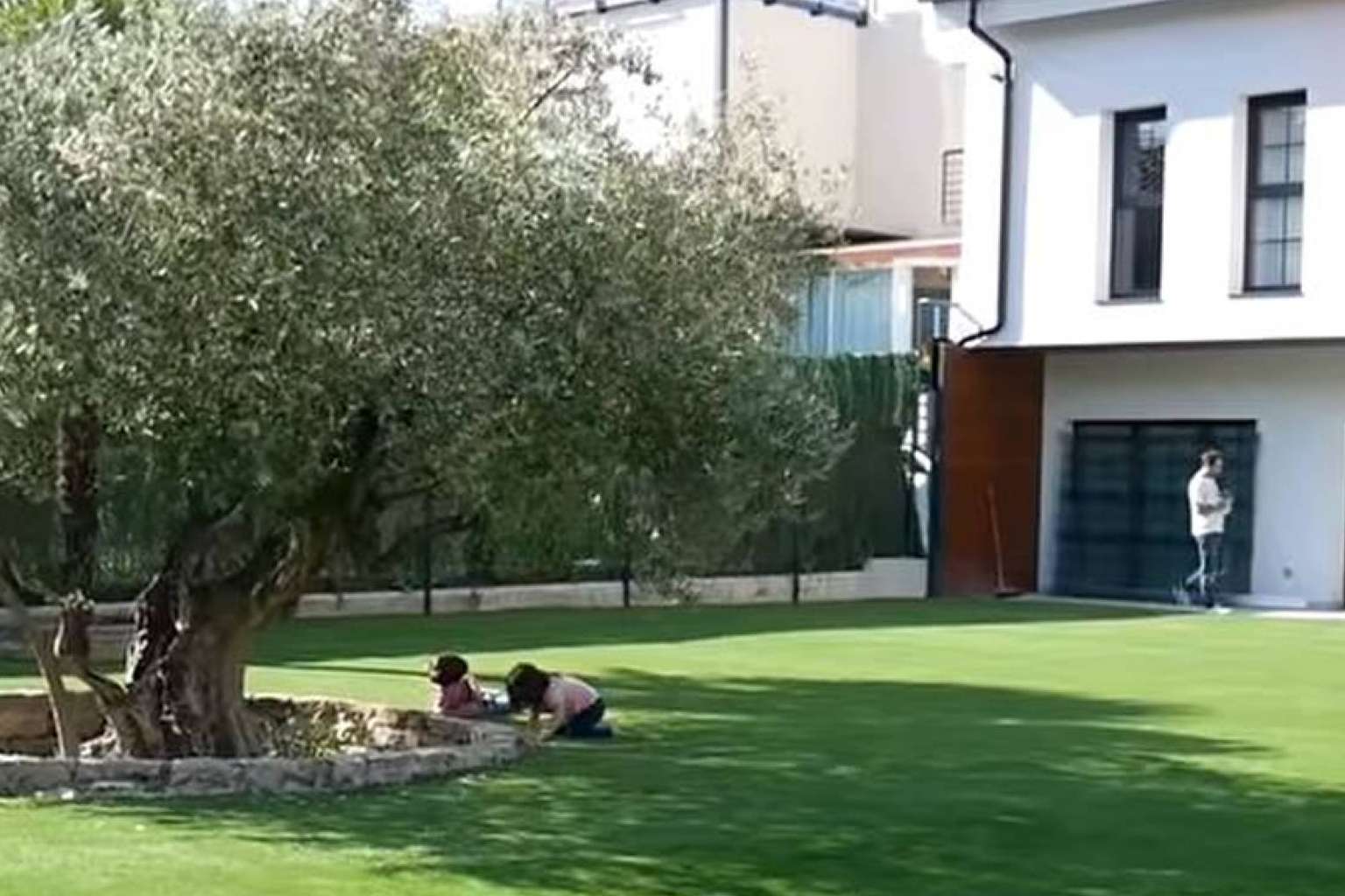 Los productores y fabricantes de césped artificial de Albergrass