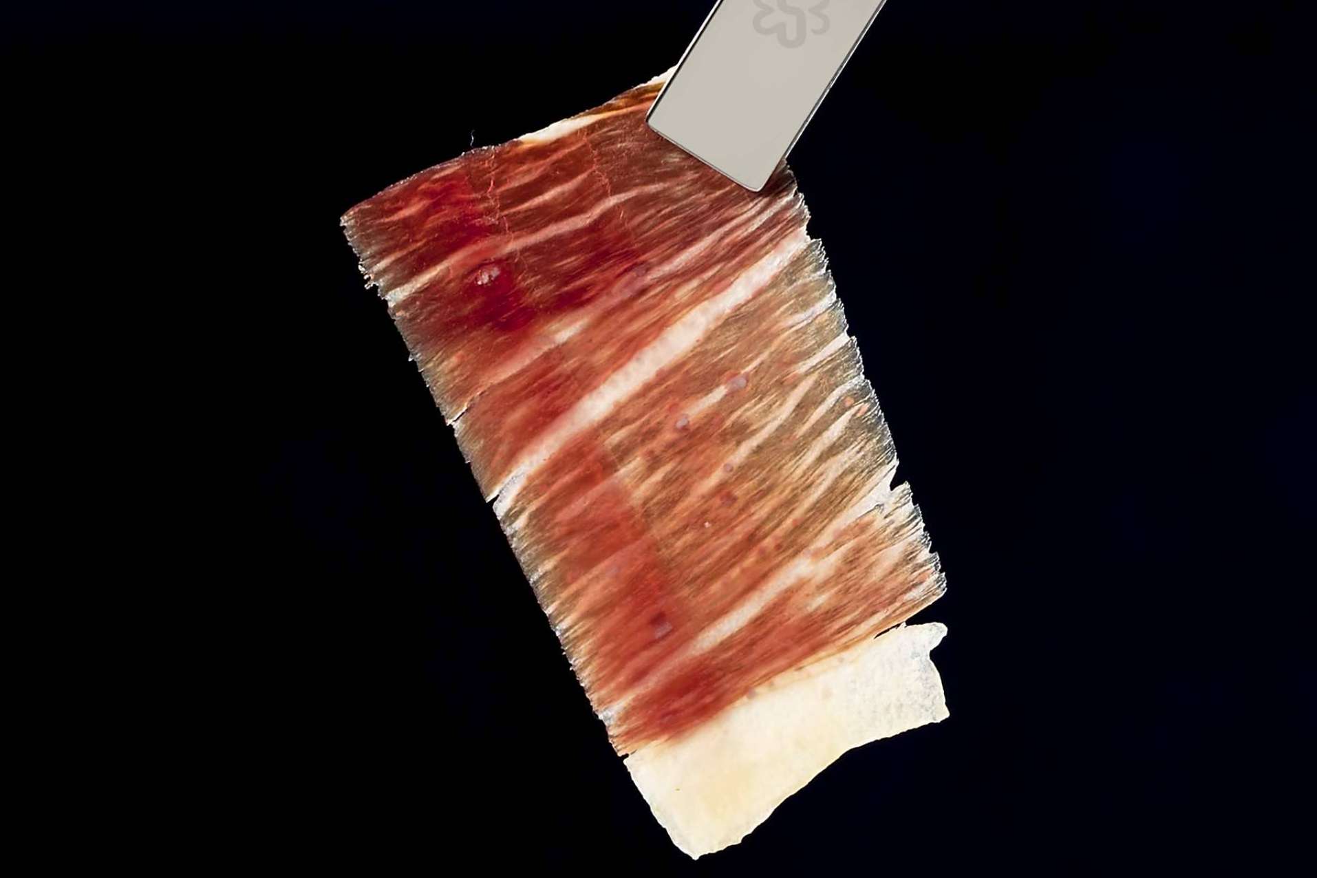 Comprar jamones y paletas ibéricas Segundín, el gourmet ibérico artesanal