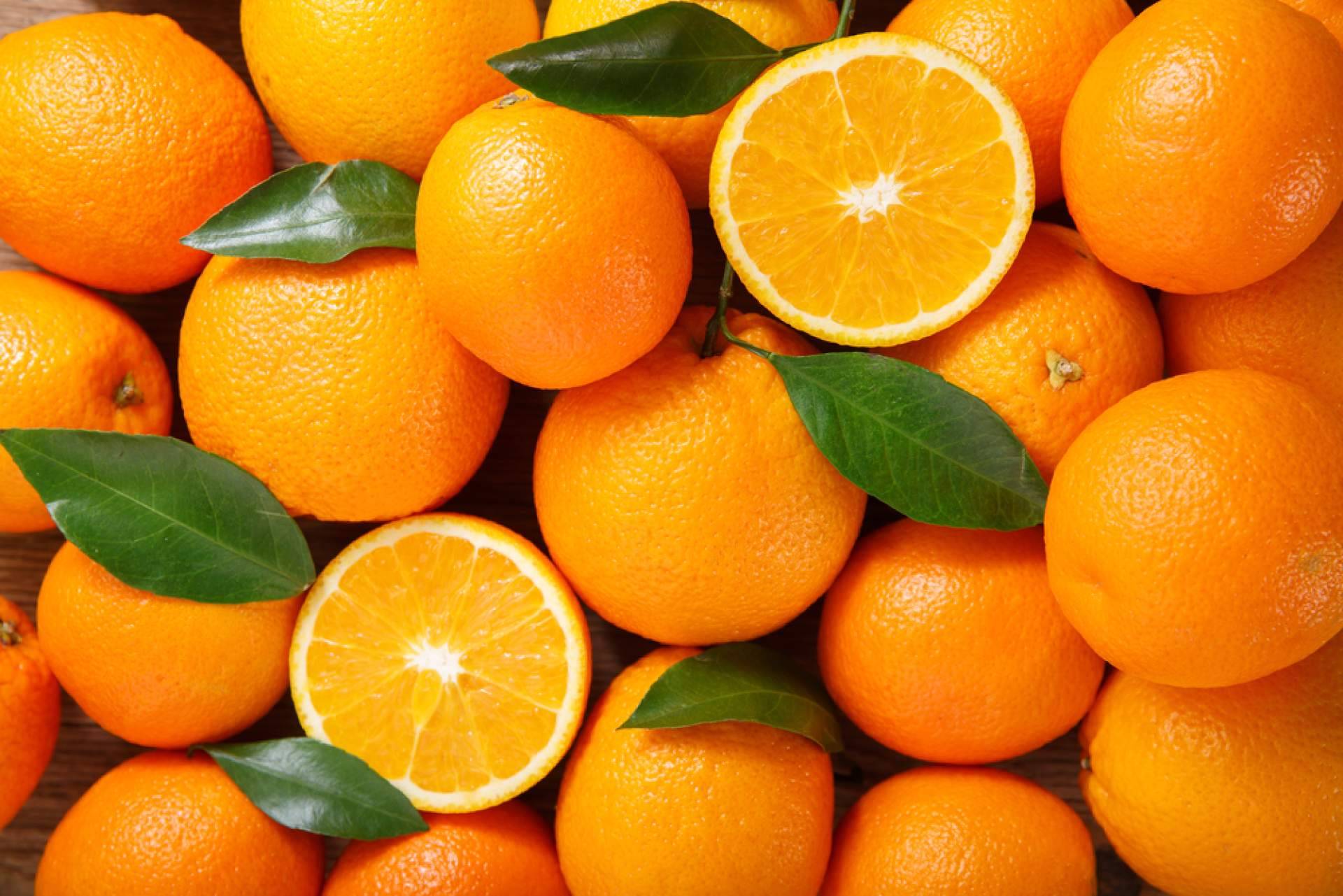 Comprar naranjas a buen precio sin sacrificar la calidad de la mano de Sabor a Naranjas