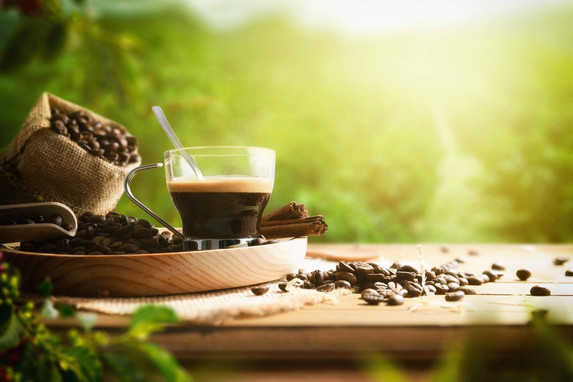 Café Ciano cuenta con amplias variedades de café de origen