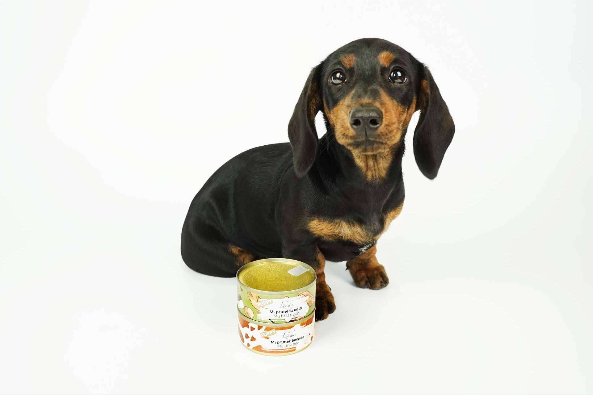 Comida de calidad y variedad para perros en Lenda Foodie