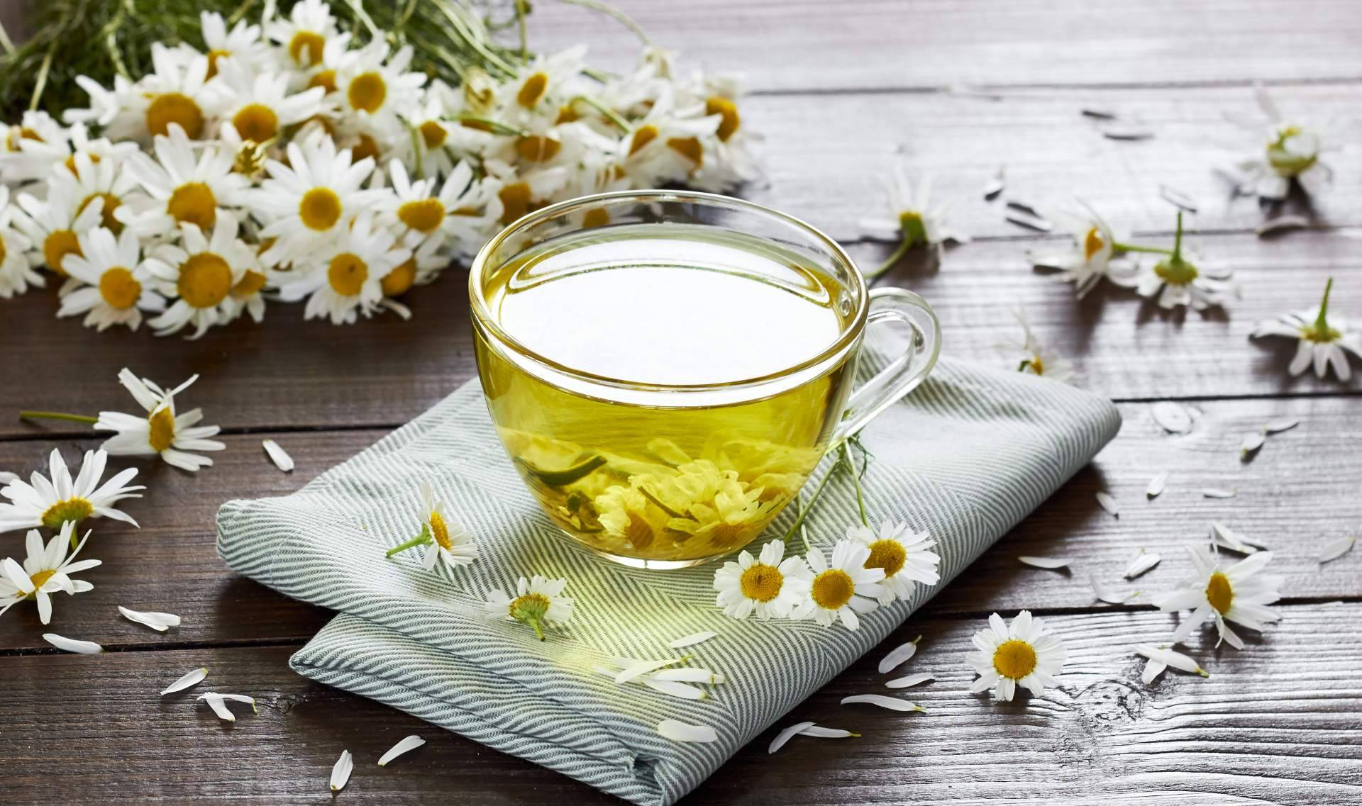 Volver a los inicios para cuidarse con la suplementación 100 % natural sin pastillas de Theriac Wellness