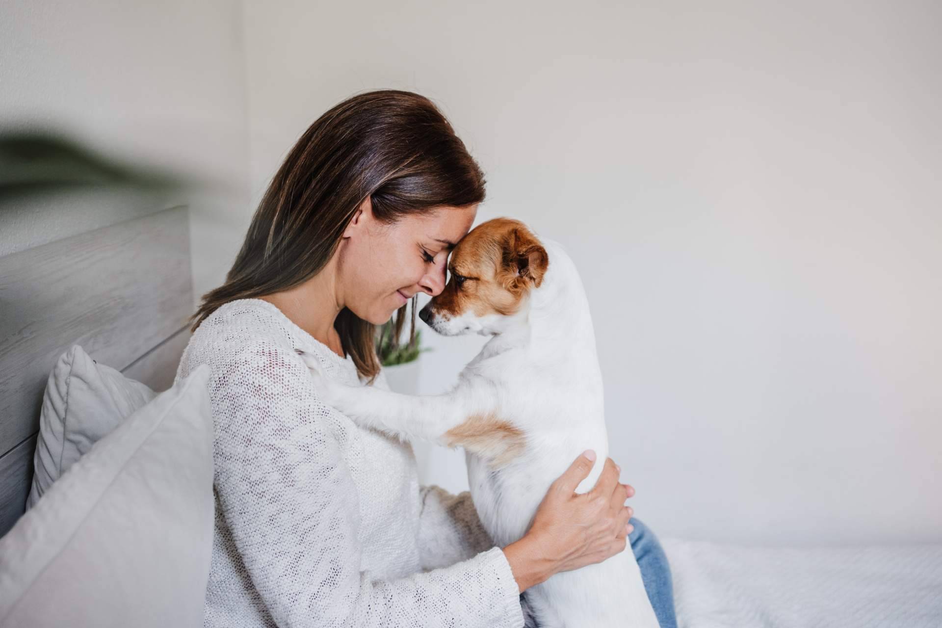 Los beneficios de la sonoterapia en animales de compañía, de la mano de El Perro Feliz