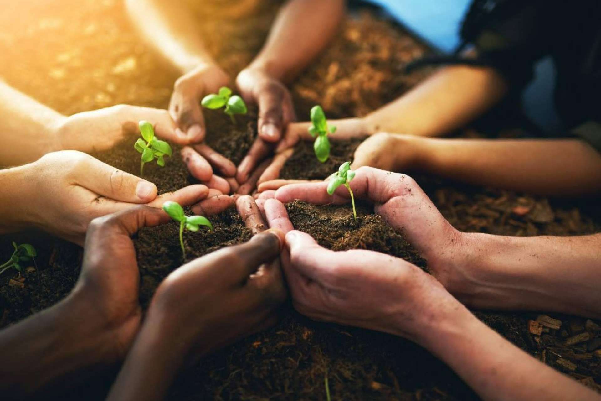 La ONG que convierte proyectos sociales latinoamericanos en empresas sociales con proyección en Europa, Share to Change