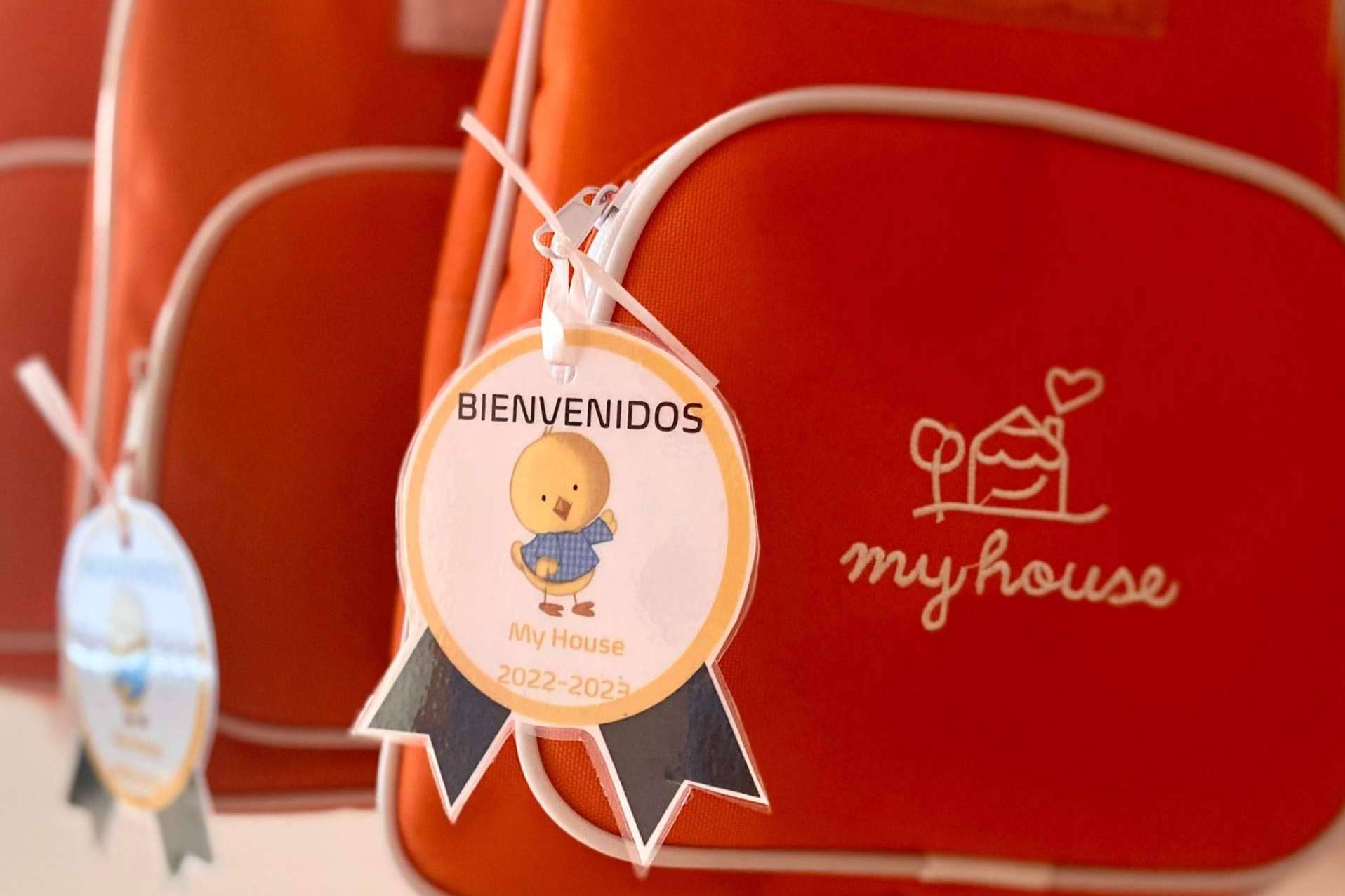 ¿Por qué es importante la escolarización temprana en el centro de educación infantil My House ubicado en Valencia?