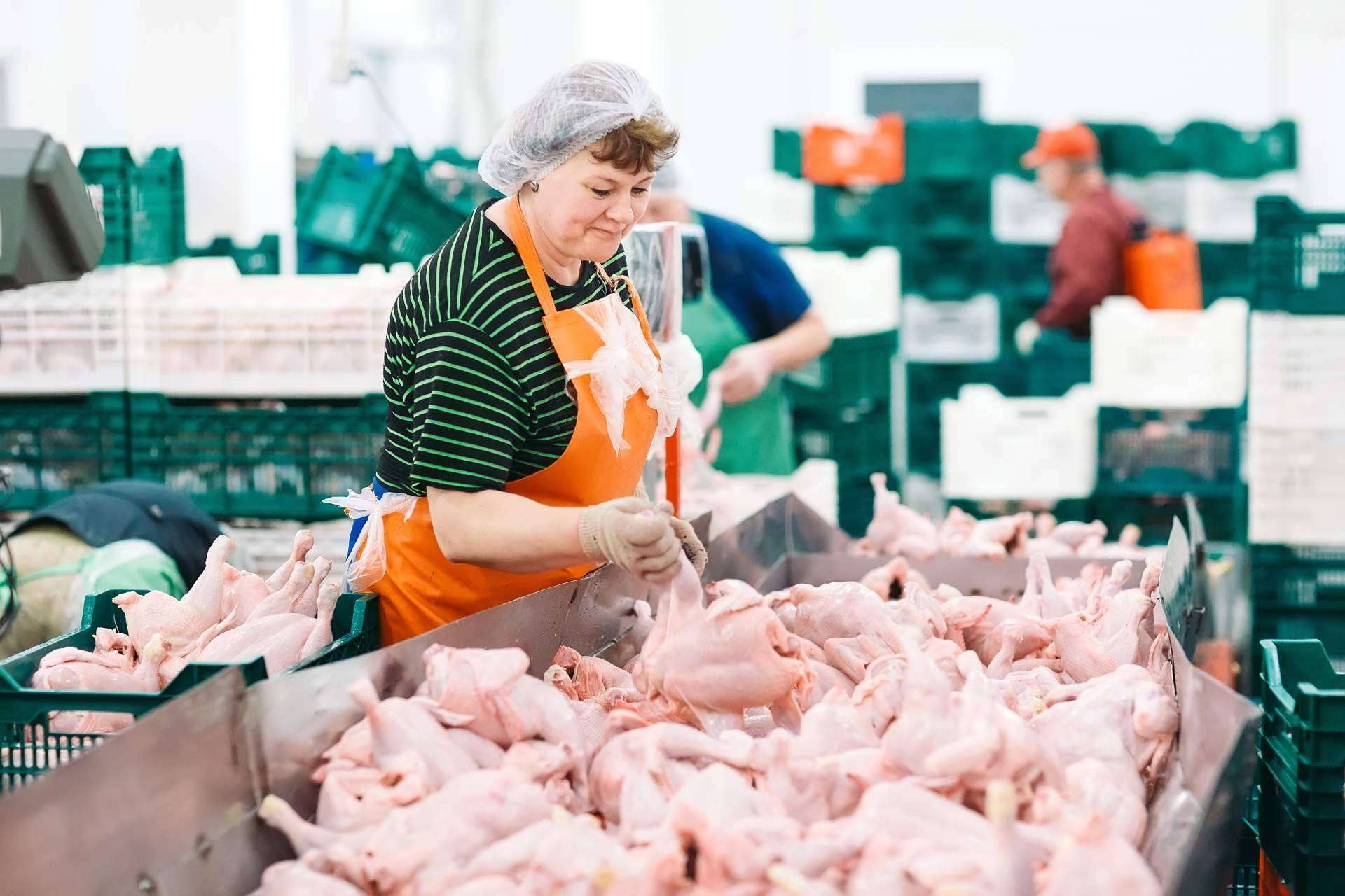 ERP específico para la industria cárnica