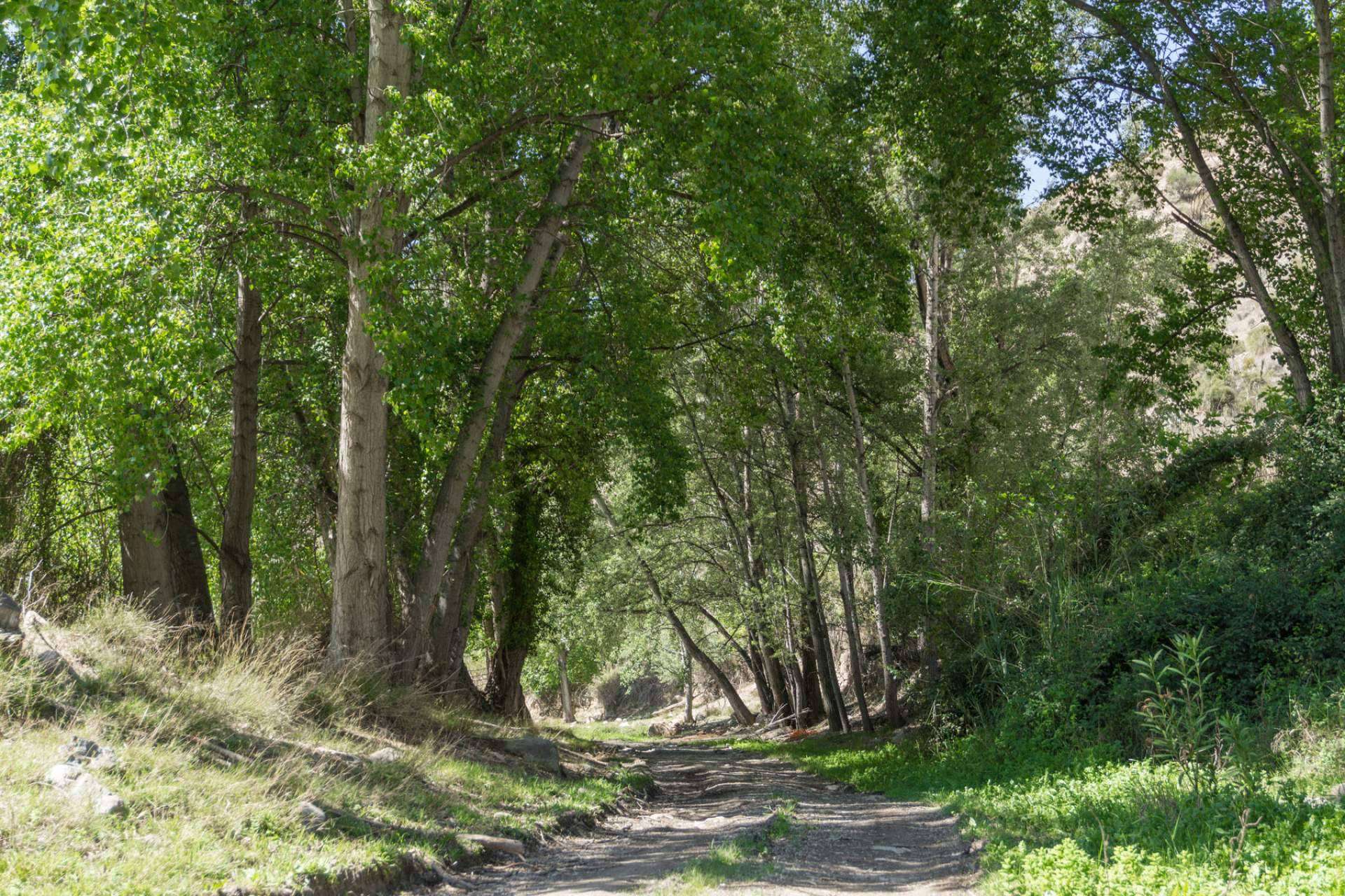 5 cosas importantes para hacer en el interior de Almería, turismo en Almería con Turismo Almanzora