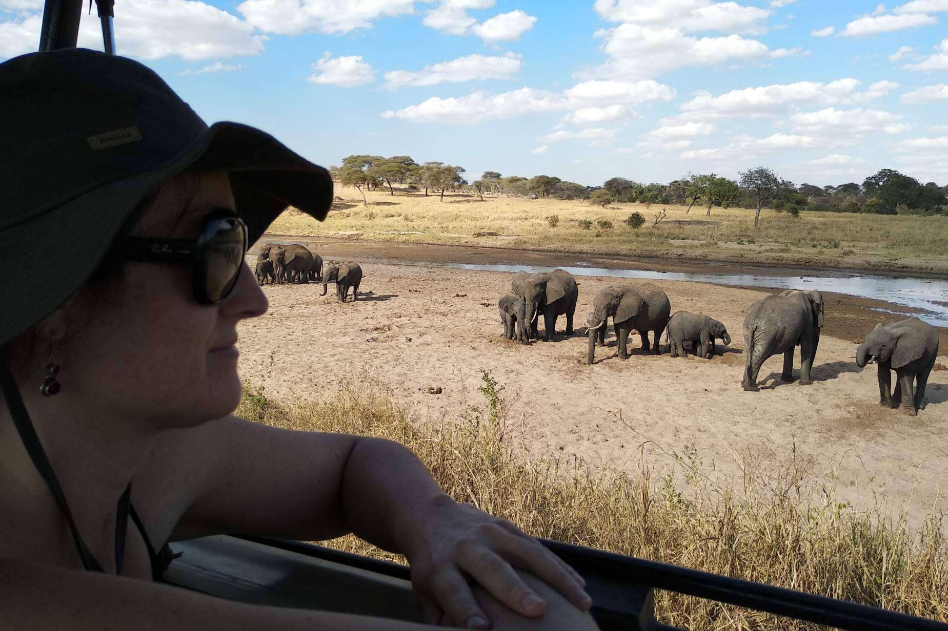 Cómo organizar un safari en Kenia absolutamente espectacular sin pagar mucho