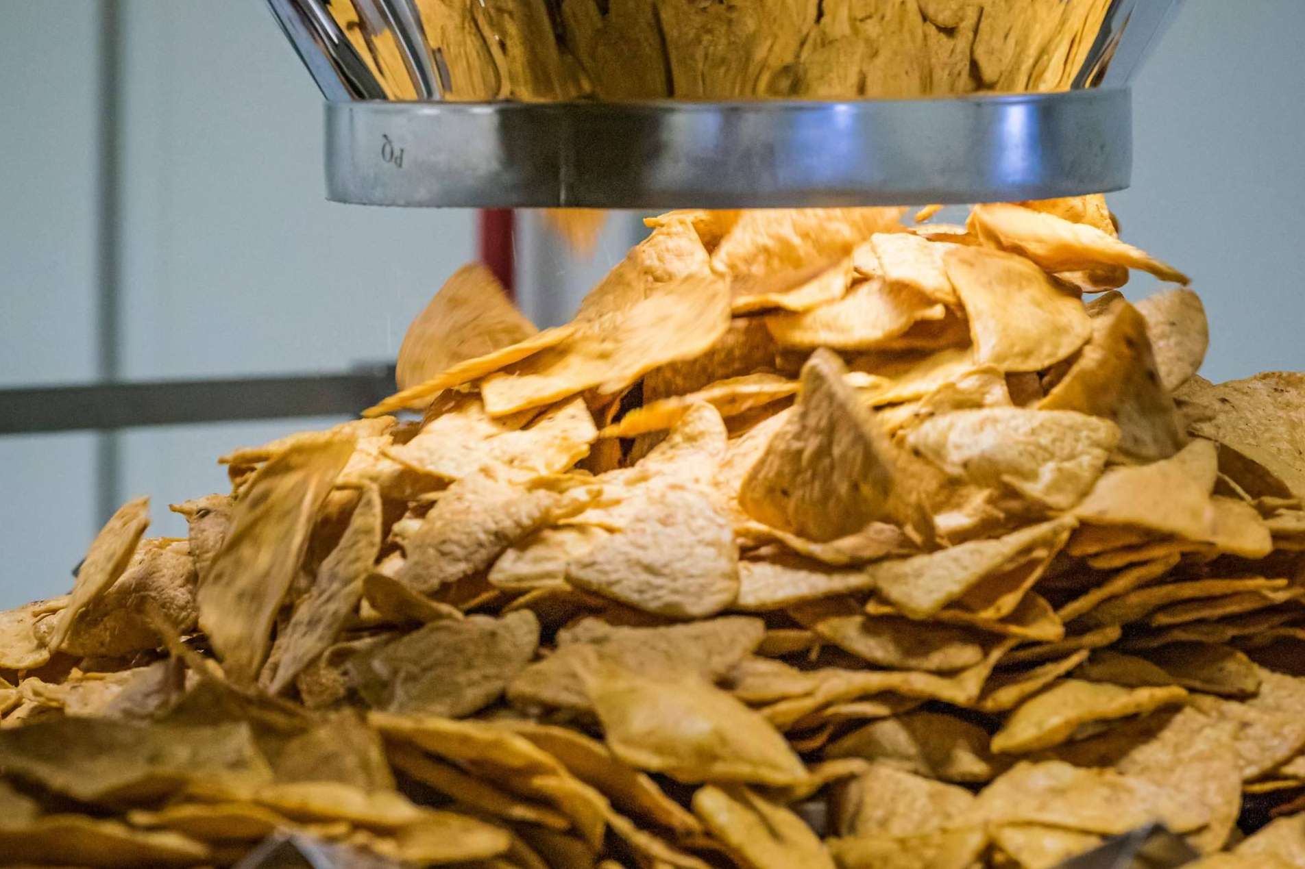 Los totopos y tostadas son dos productos irresistibles de Maíz Maya que tienen origen en las culturas prehispánicas mexicanas