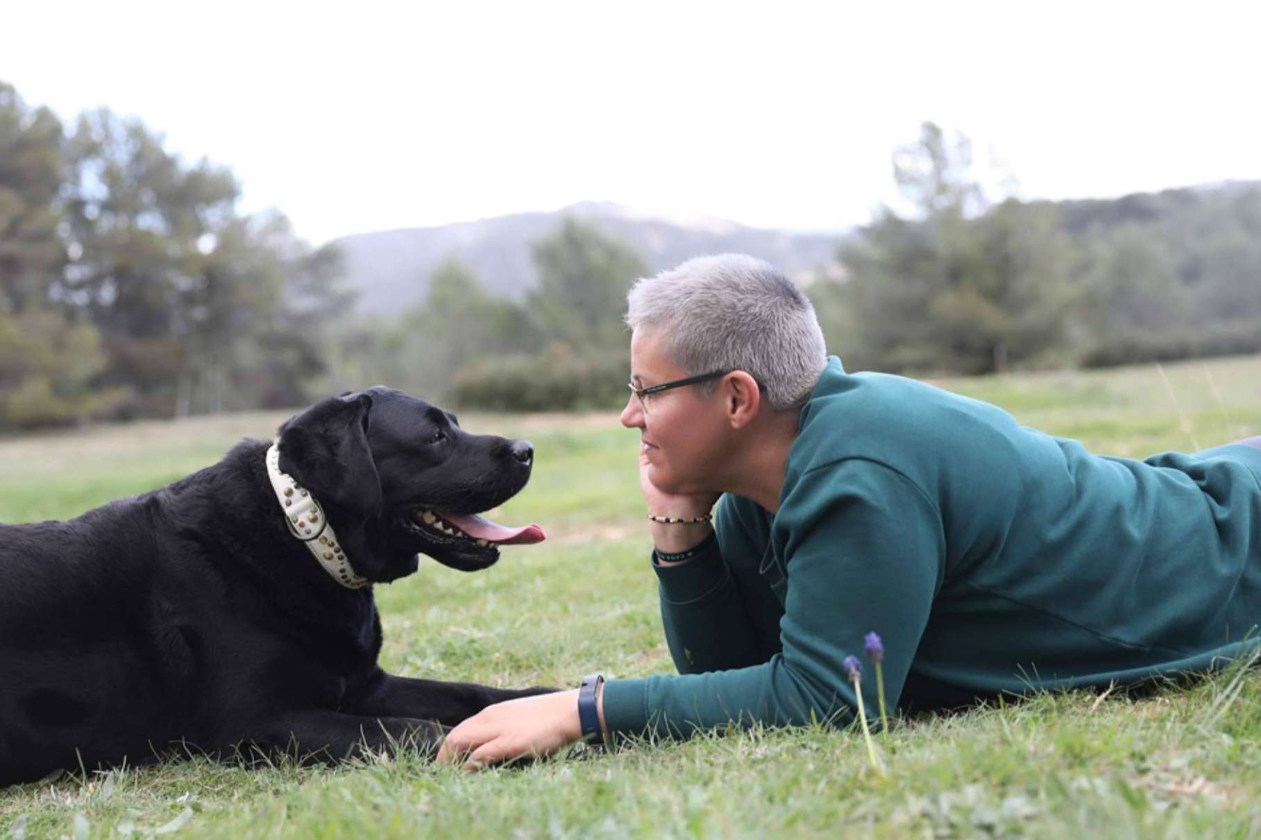 ¿Cuál es la importancia de entender el lenguaje canino?, por el Instituto Dog Coaching