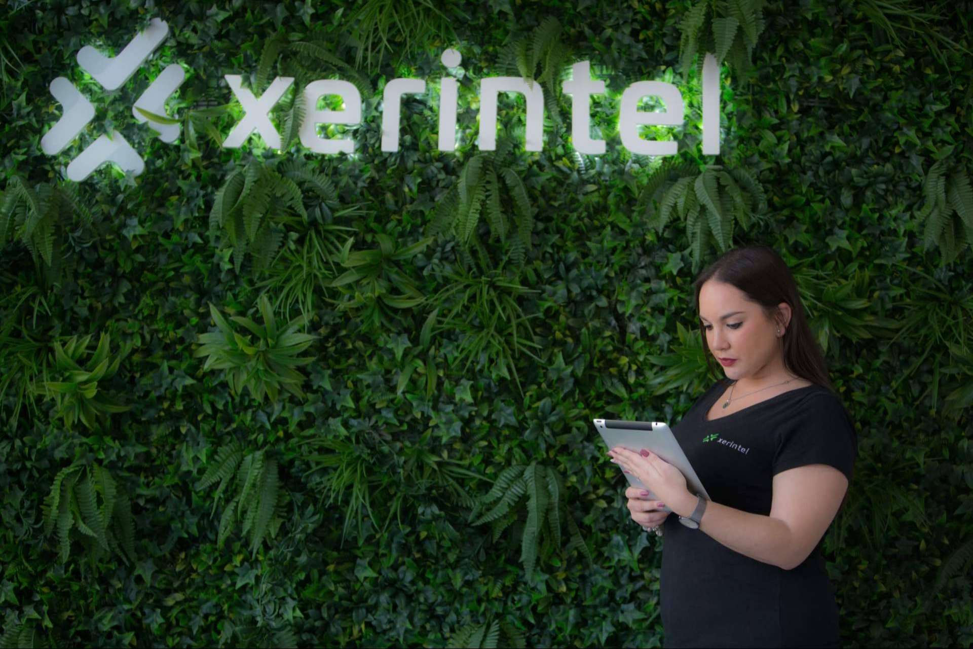 Los expertos en desarrollo web y app de Xerintel tienen una puntuación de 4,9 sobre 5,0 en Google