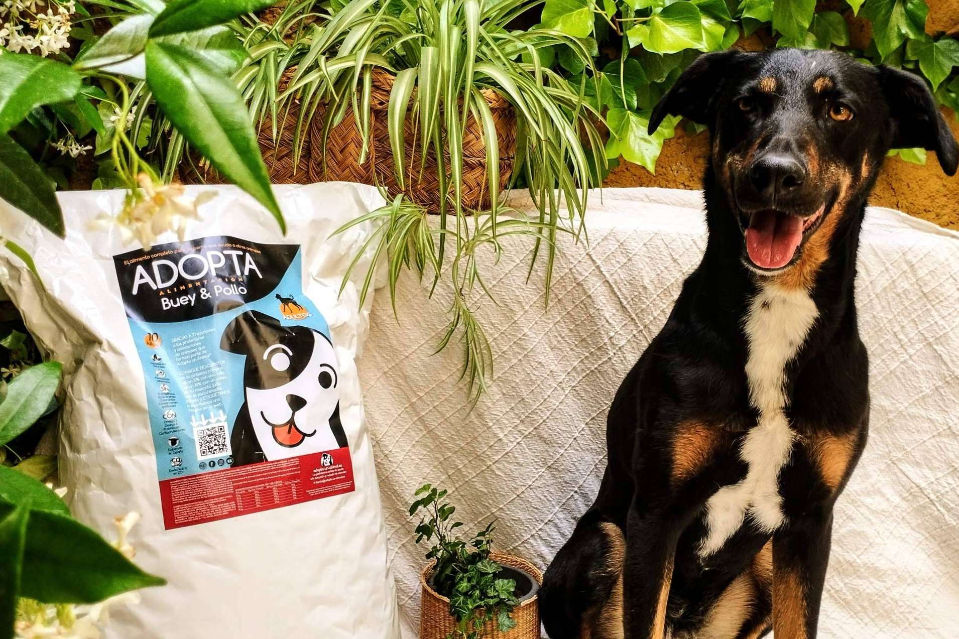 El alimento que cada perro necesita; pienso light de mantenimiento para perros adultos