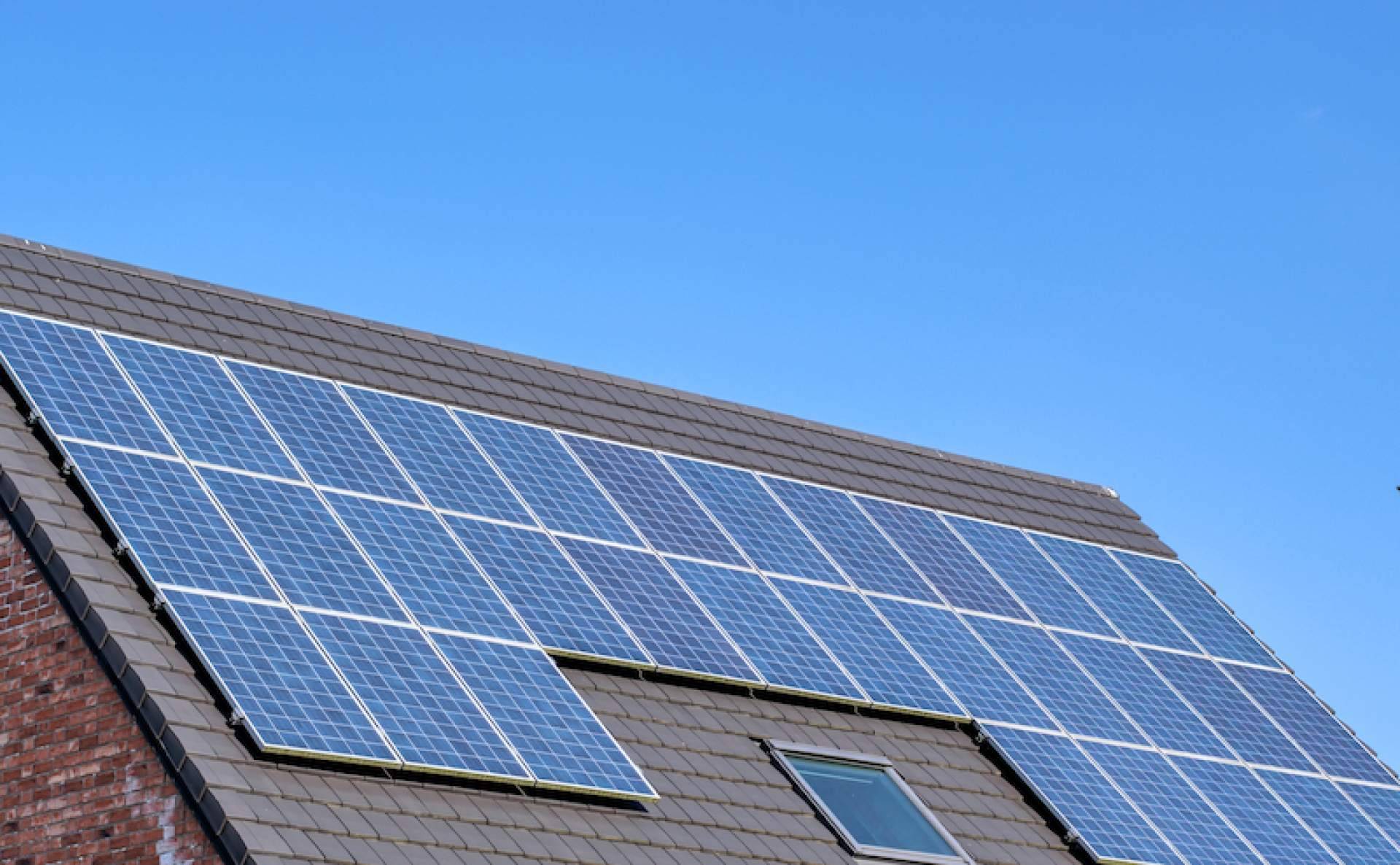 Cómo encontrar instaladores de placas solares de confianza, con Amagi Solar
