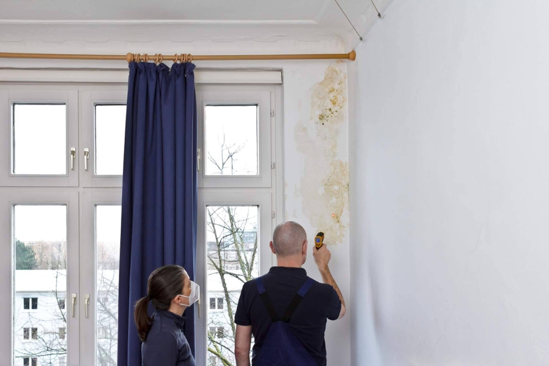 ¿Dónde encontrar servicios de limpieza de humedad en la pared? Preactiva
