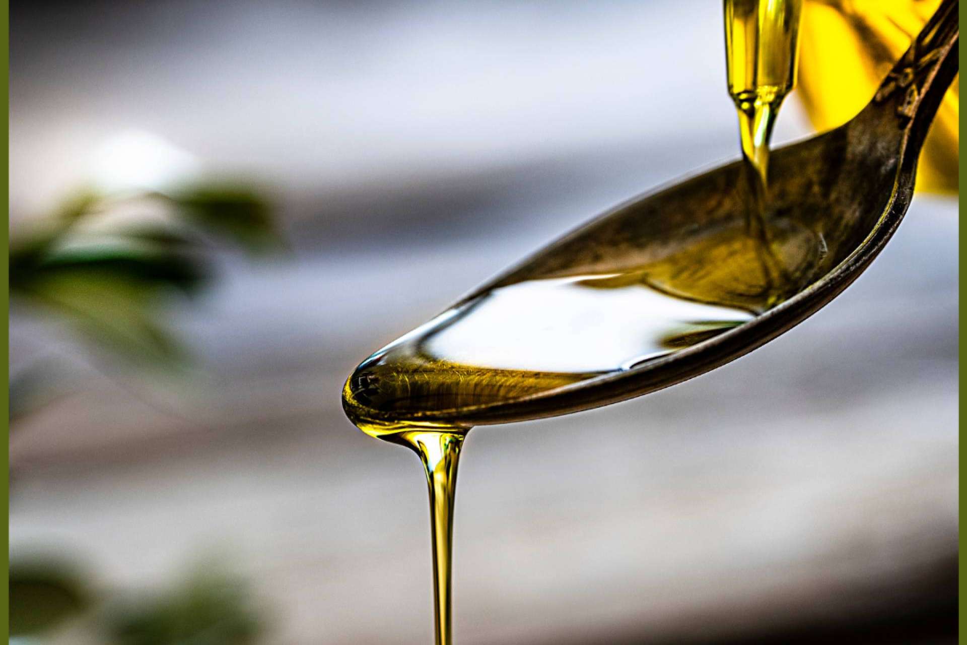 La tienda online de aceite de oliva extra virgen, Olipaterna