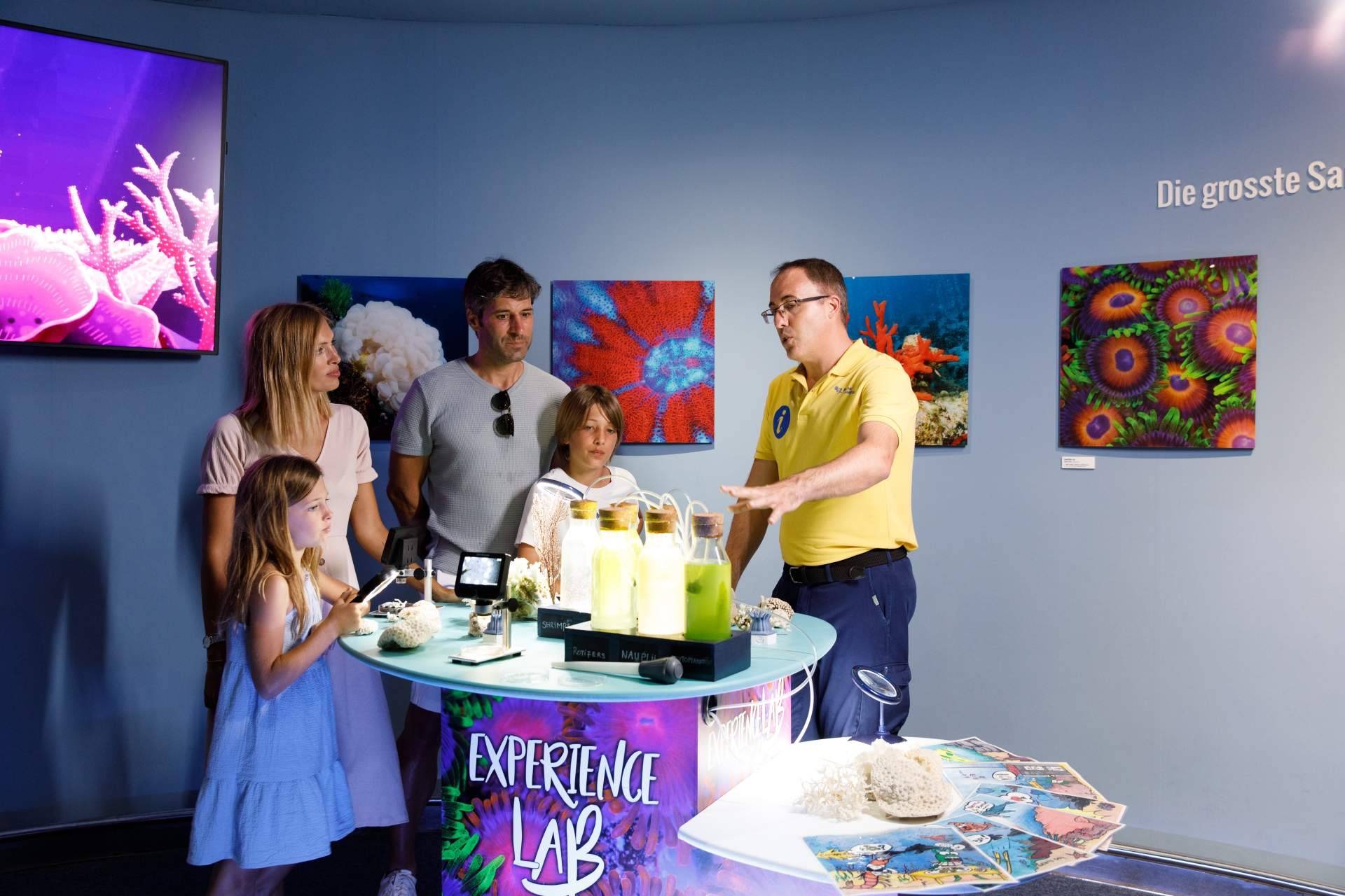 Organizar un día diferente en Mallorca, con la experiencia Palma Aquarium