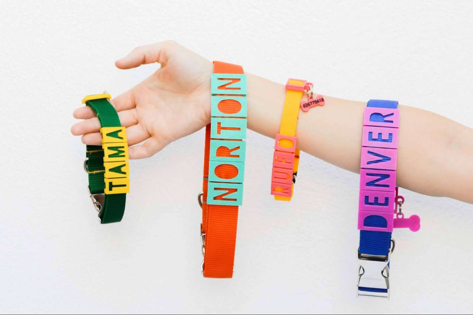 Proteger a la mascota con los collares y chapas personalizadas de Seron