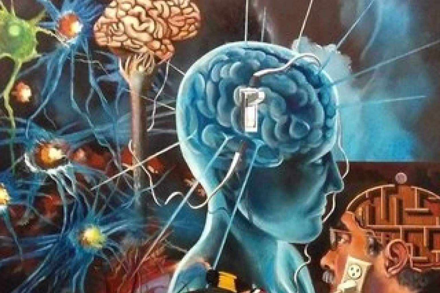El cerebro es un gran misterio