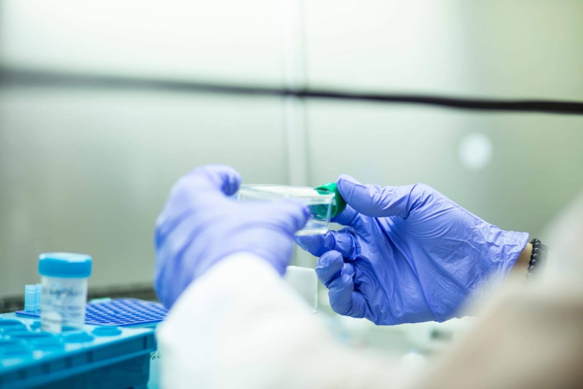 Immunotherapy Regenerative Medicine, expertos en células madre en México