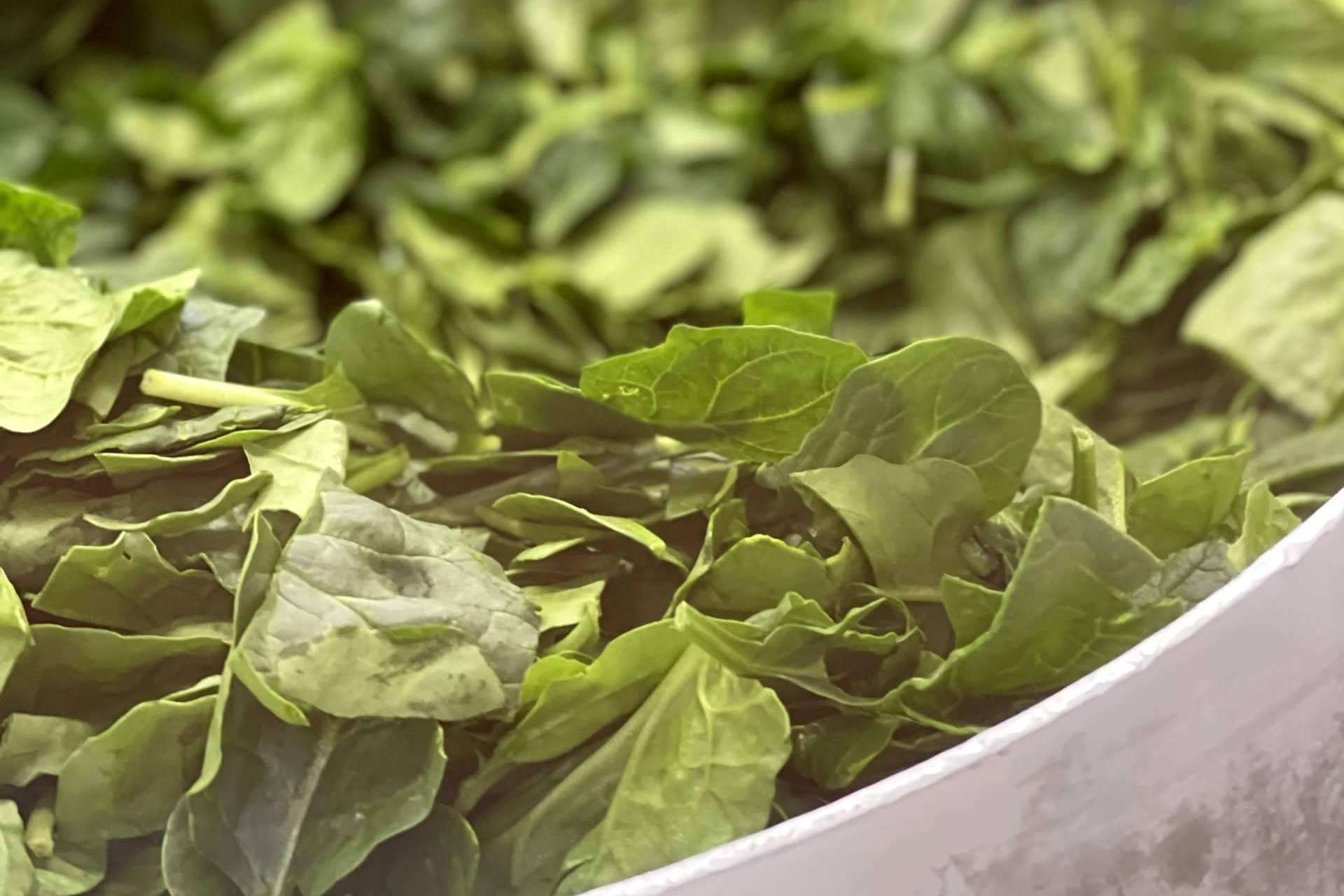 Gumen, comida saludable para empresas