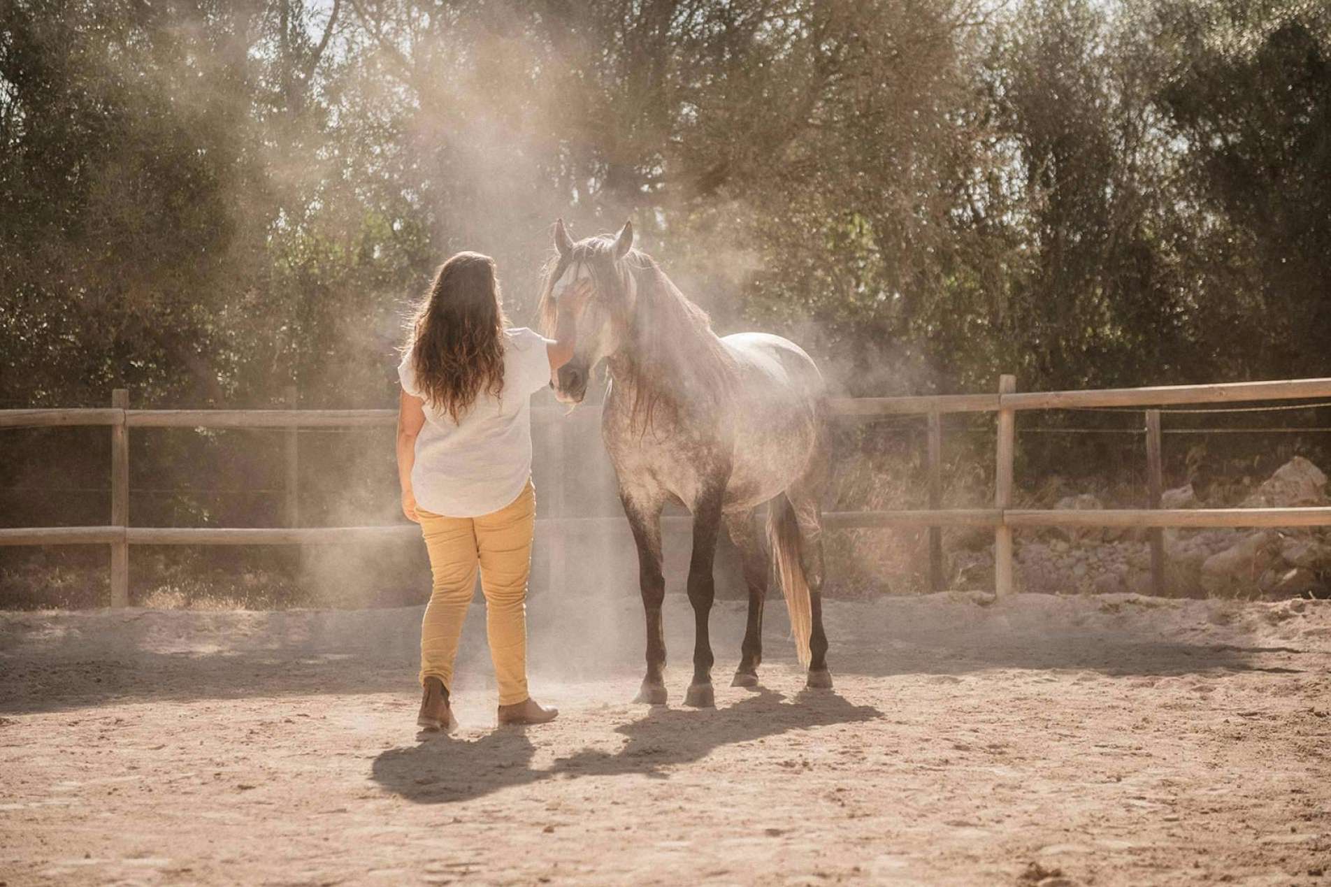 Reducción y gestión de estrés gracias al coaching asistido por caballos