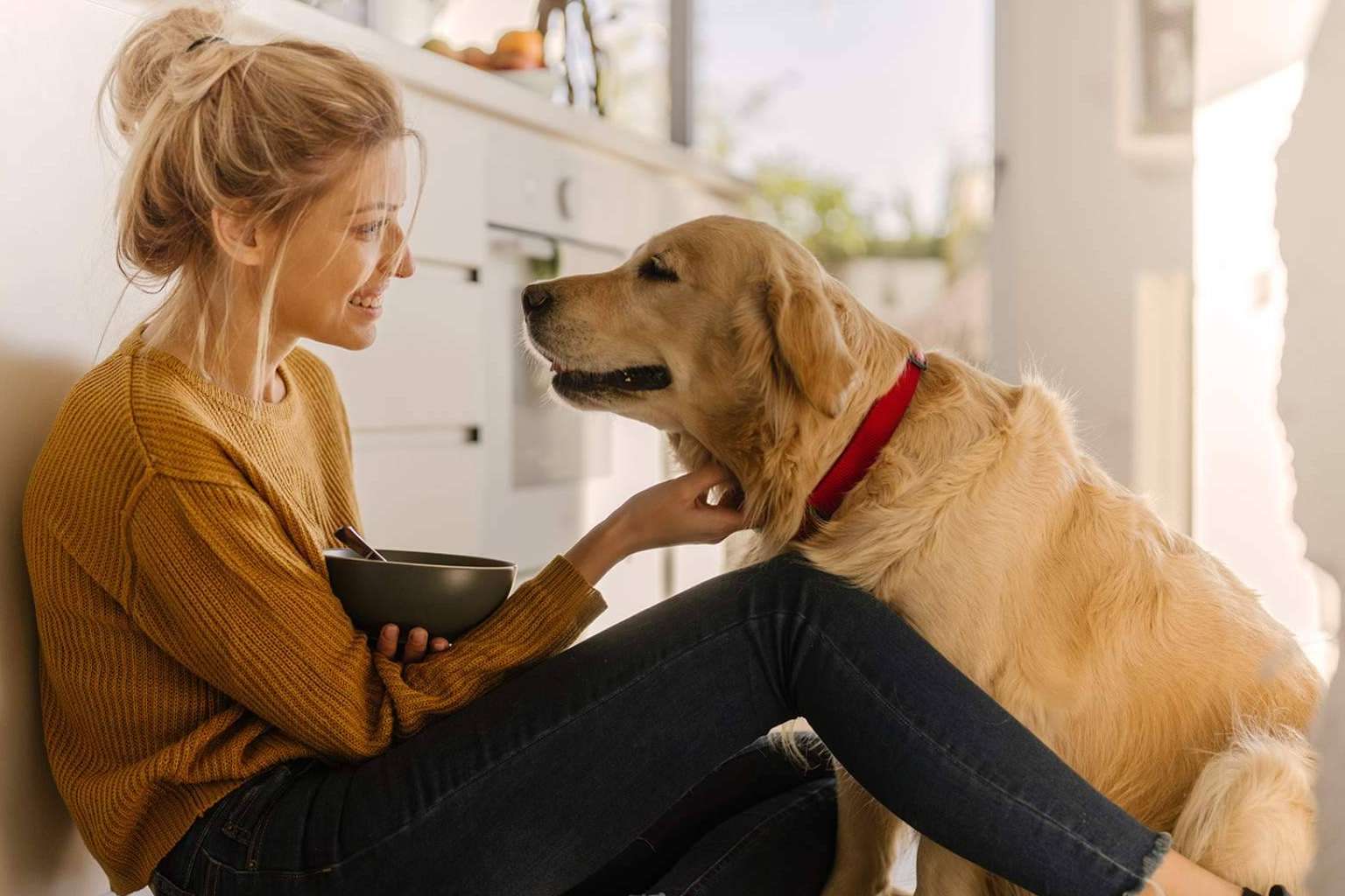Línea Directa revoluciona el mercado con un seguro de mascotas completo y competitivo
