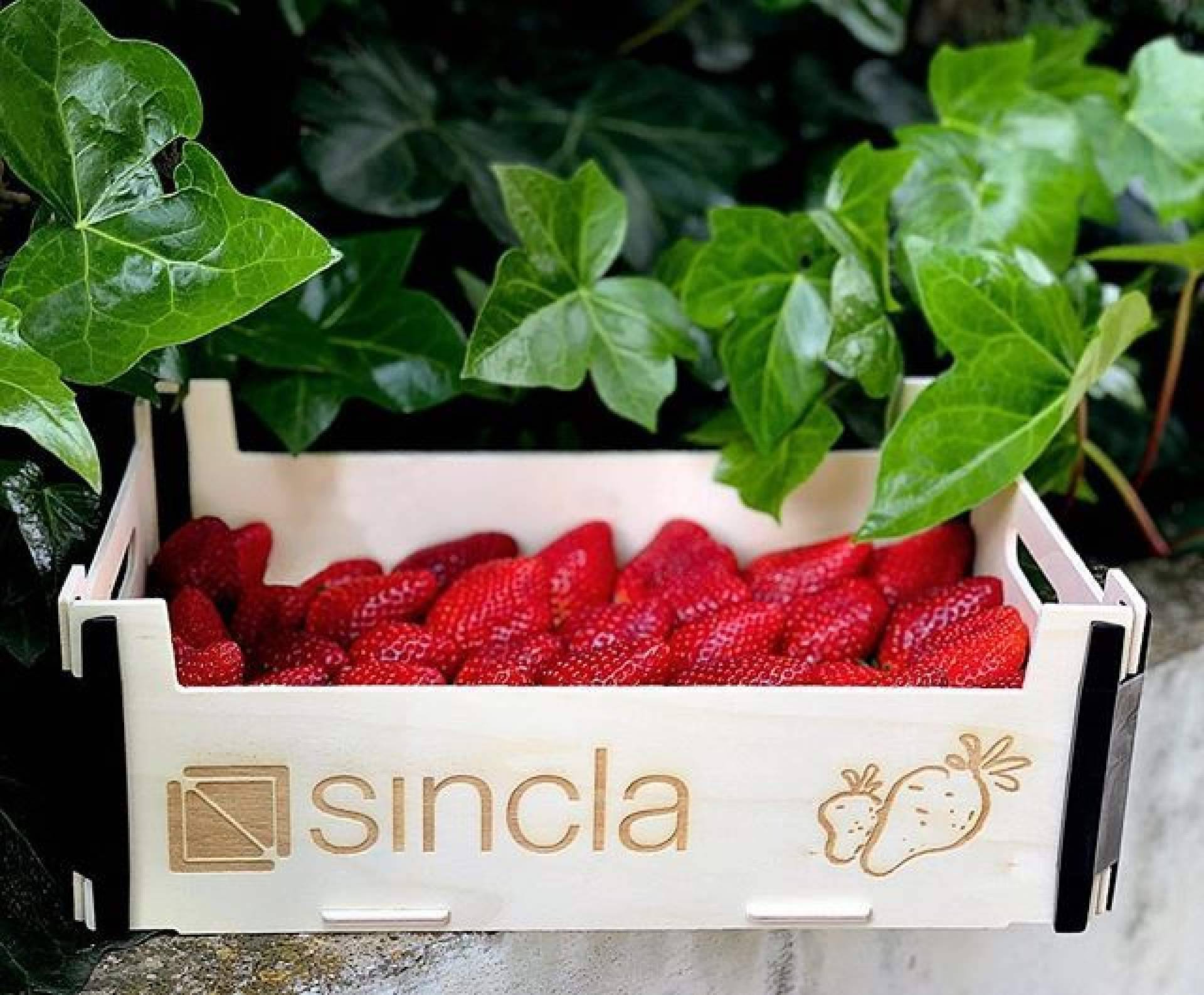 Cajas de madera para fruta y verdura de Sincla; una combinación de diseño y calidad