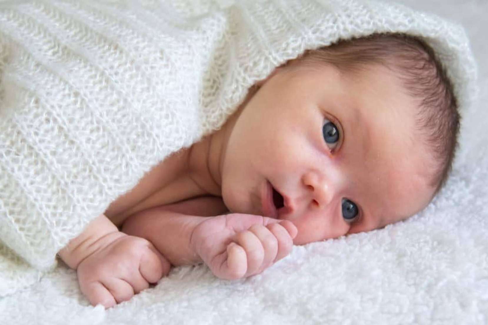 Susana Frías, una artista que apela a la construcción de un mundo ideal