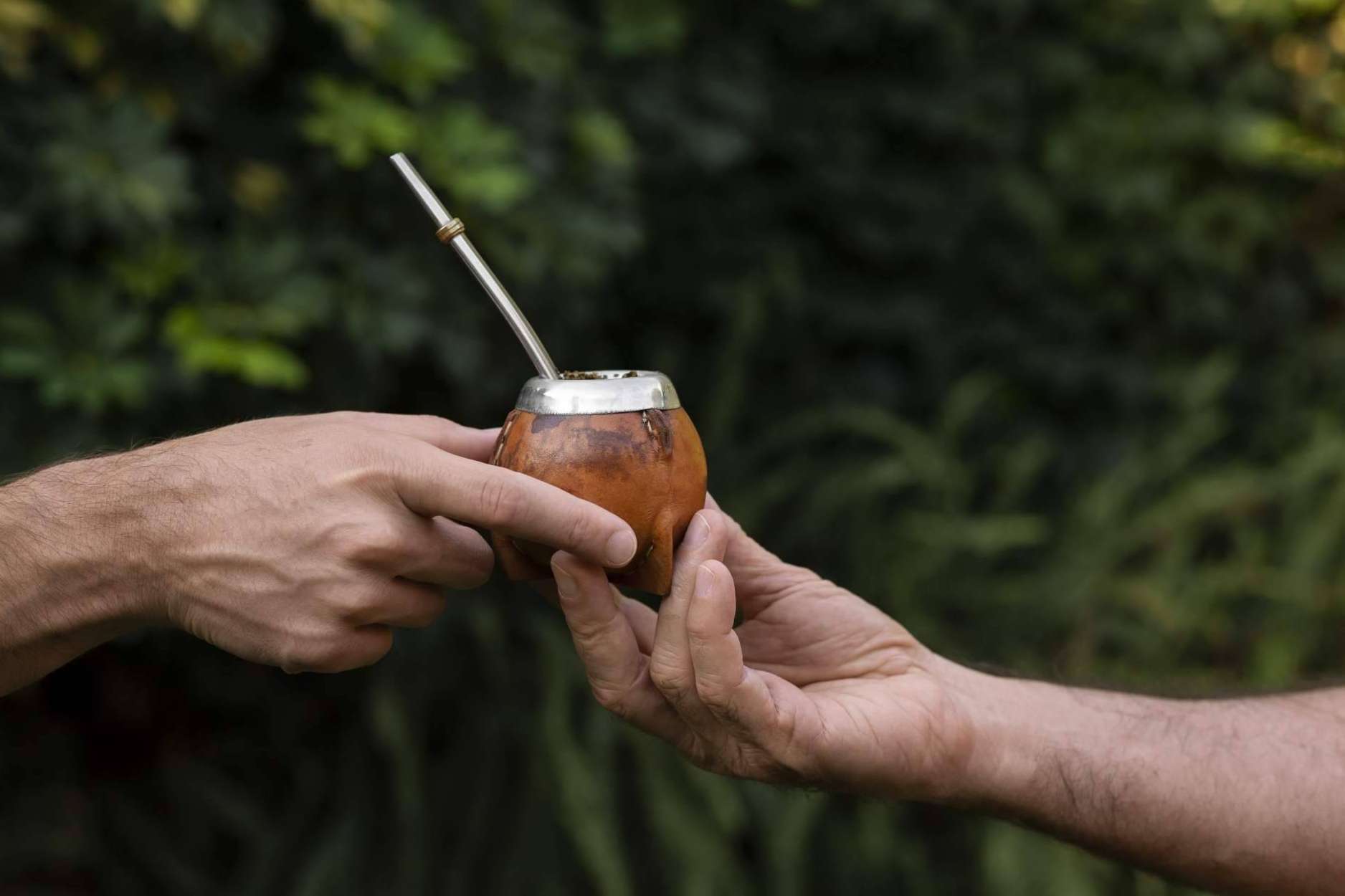 La yerba mate se abre paso en la cultura española como infusión popular